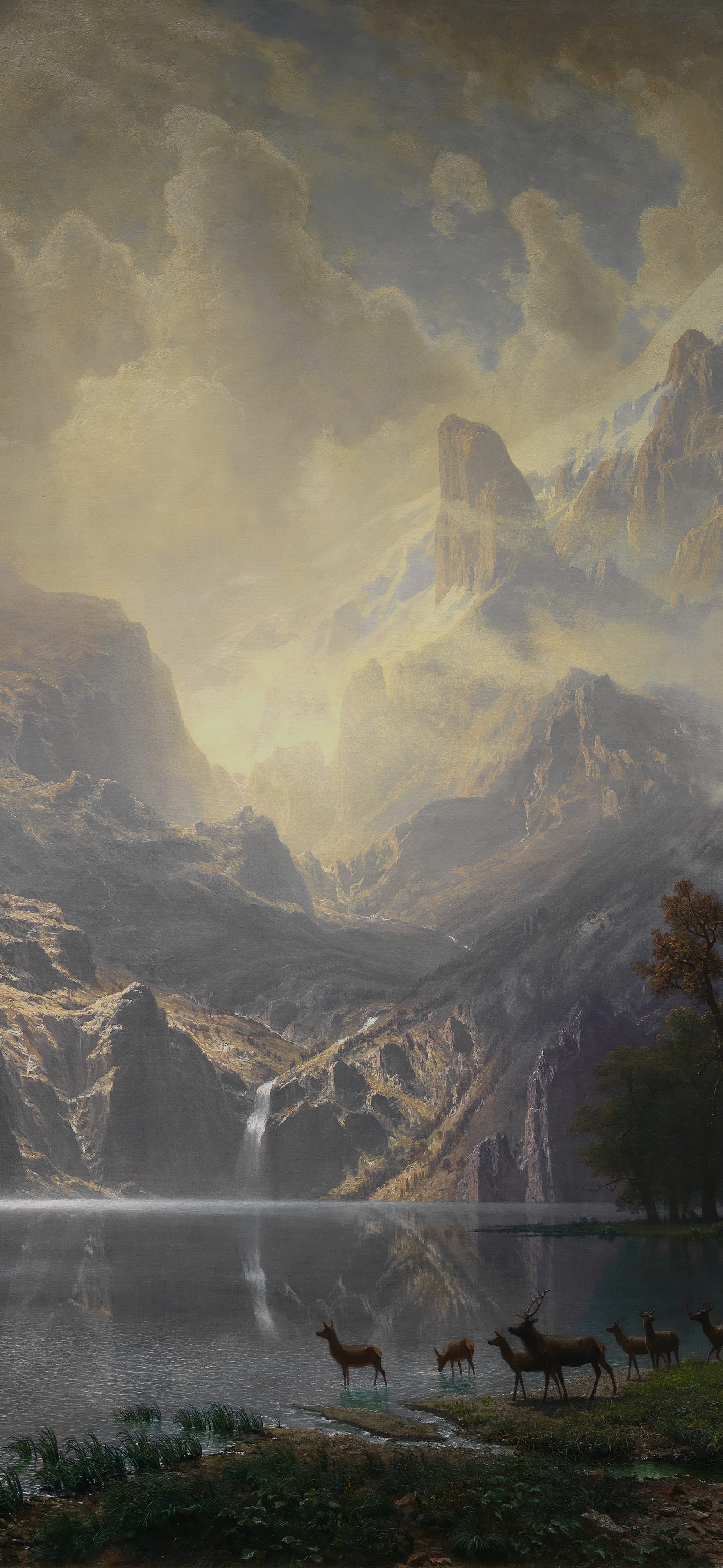 Among the Sierra Nevada, California, cropped to 9:19.5, tall phone background