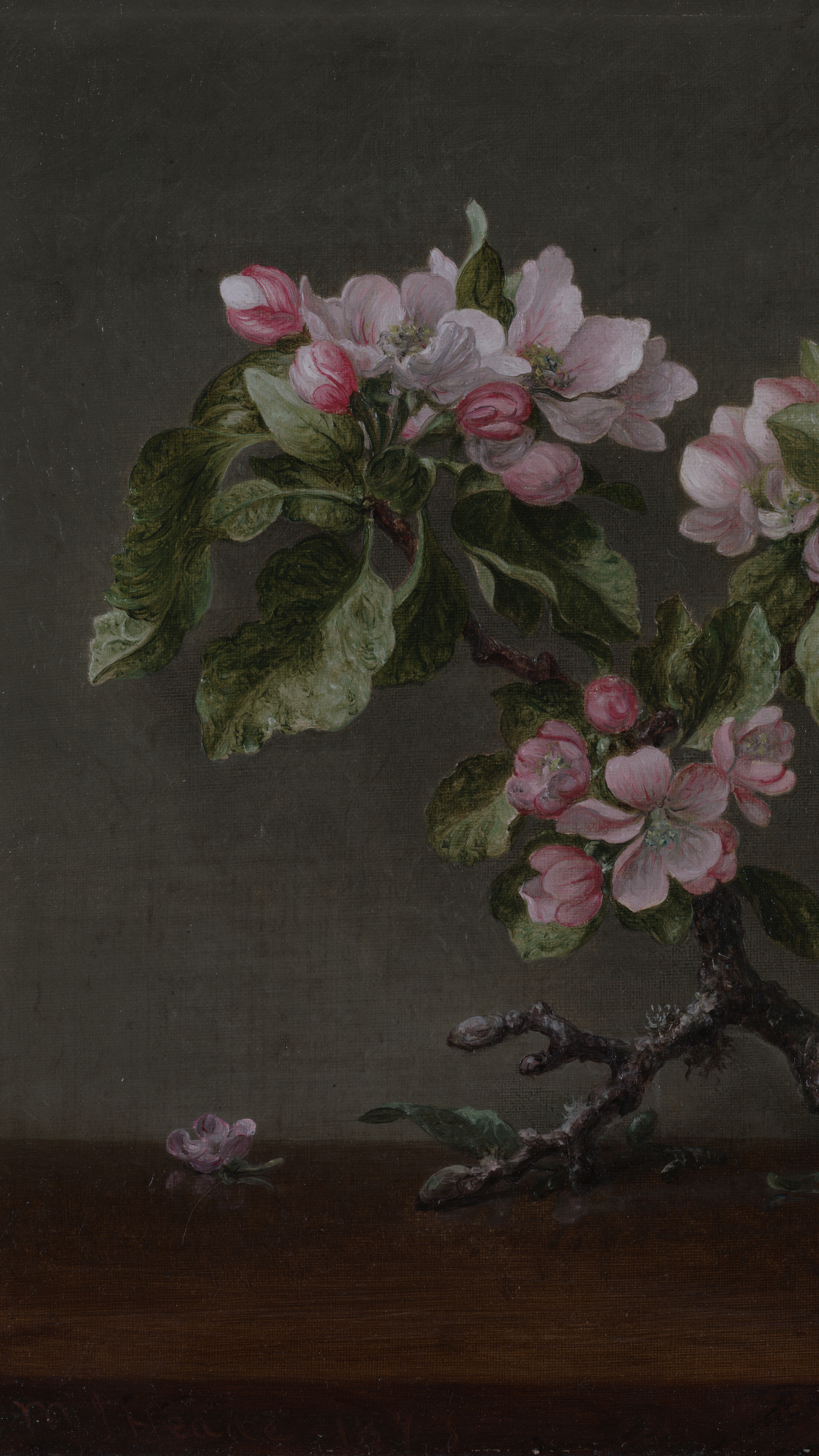 Dark academia vertical iPhone background from a painting: a gnarled apple branch with pink-white blossoms and dark green leaves standing on a wooden ledge against a muted grey-green background