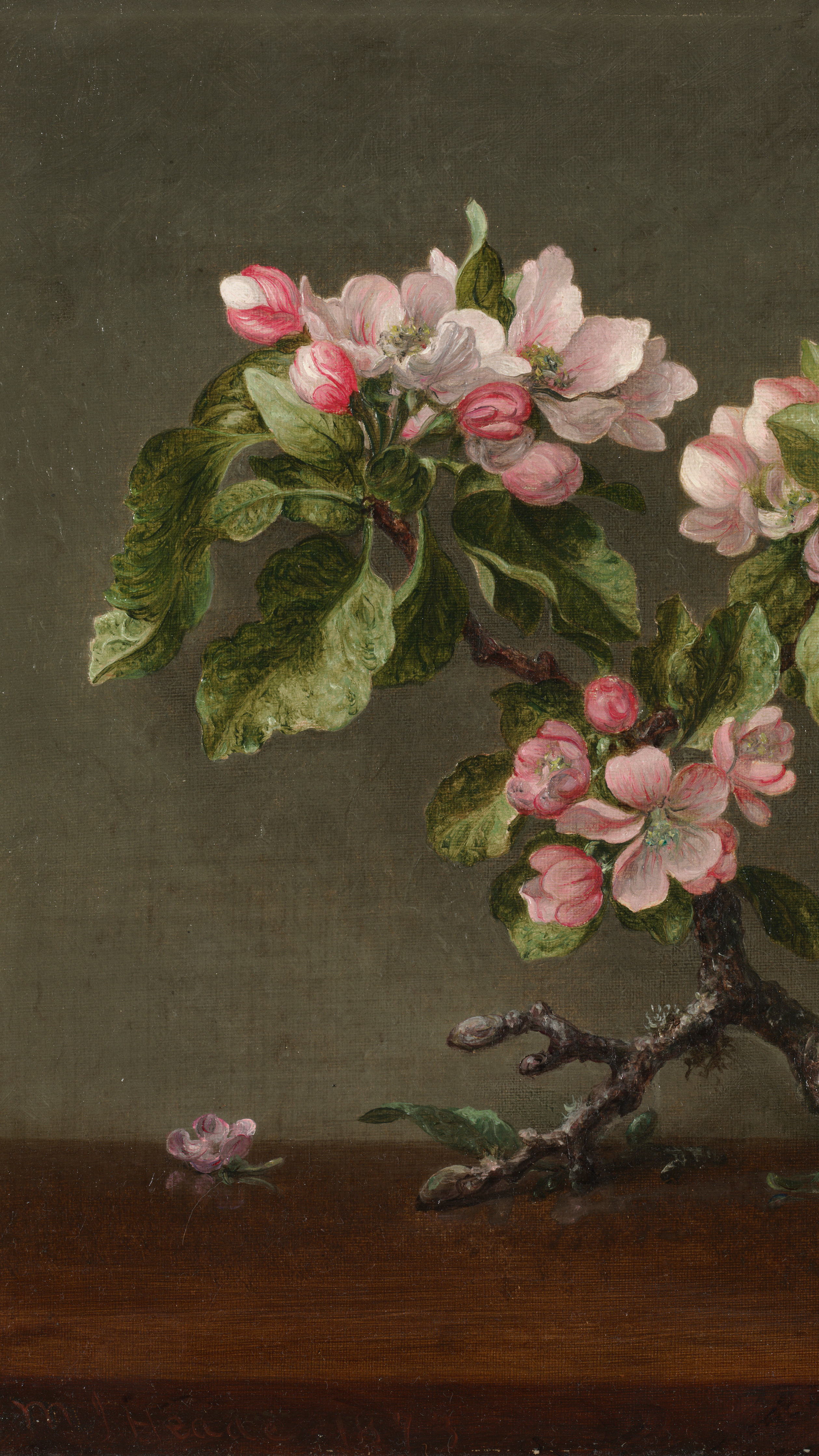 Dark academia vertical iPhone background from a painting: a gnarled apple branch with pink-white blossoms and dark green leaves standing on a wooden ledge against a muted grey-green background