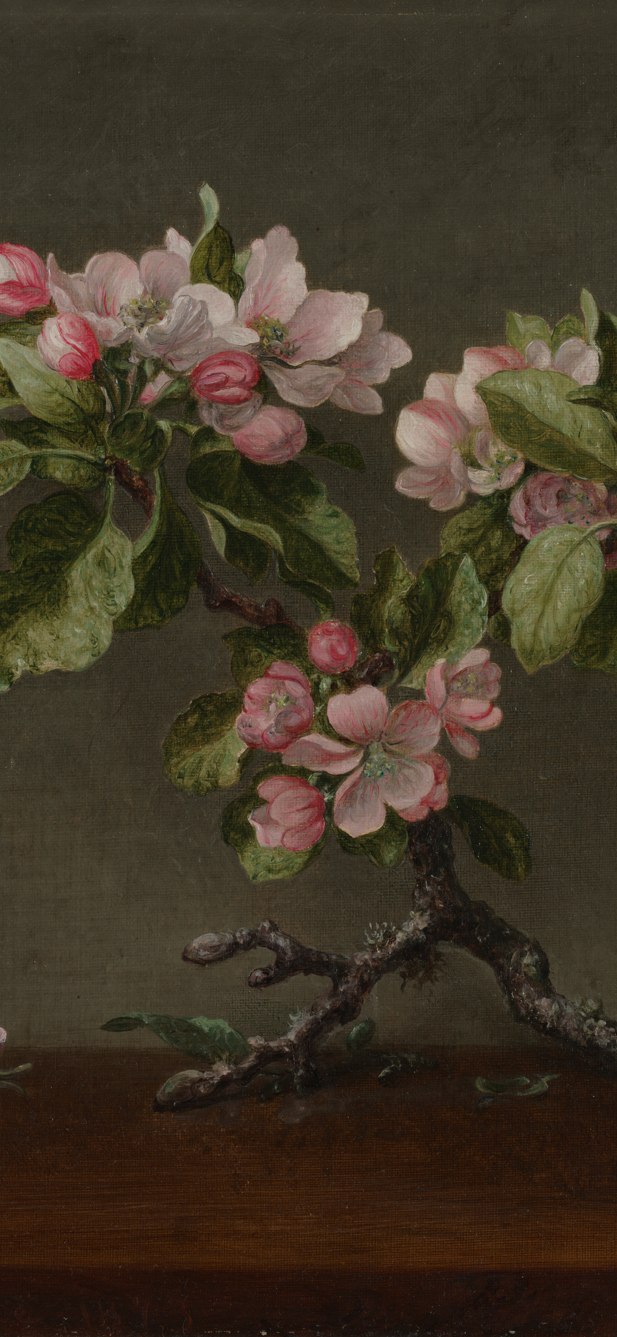Dark academia vertical iPhone background from a painting: a gnarled apple branch with pink-white blossoms and dark green leaves standing on a wooden ledge against a muted grey-green background