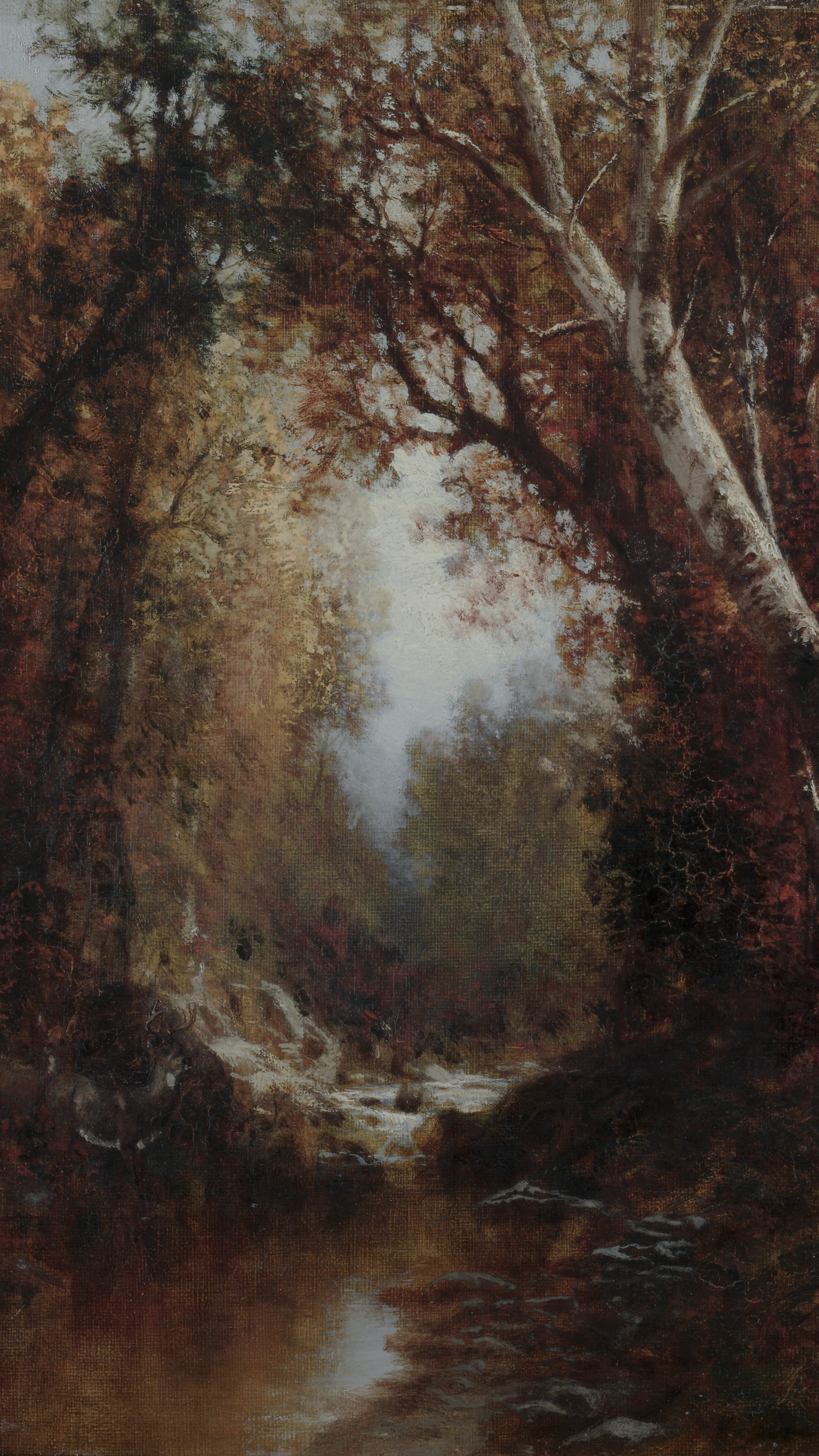 Autumn Scene in the Adirondacks, cropped to 9:16, vertical phone background