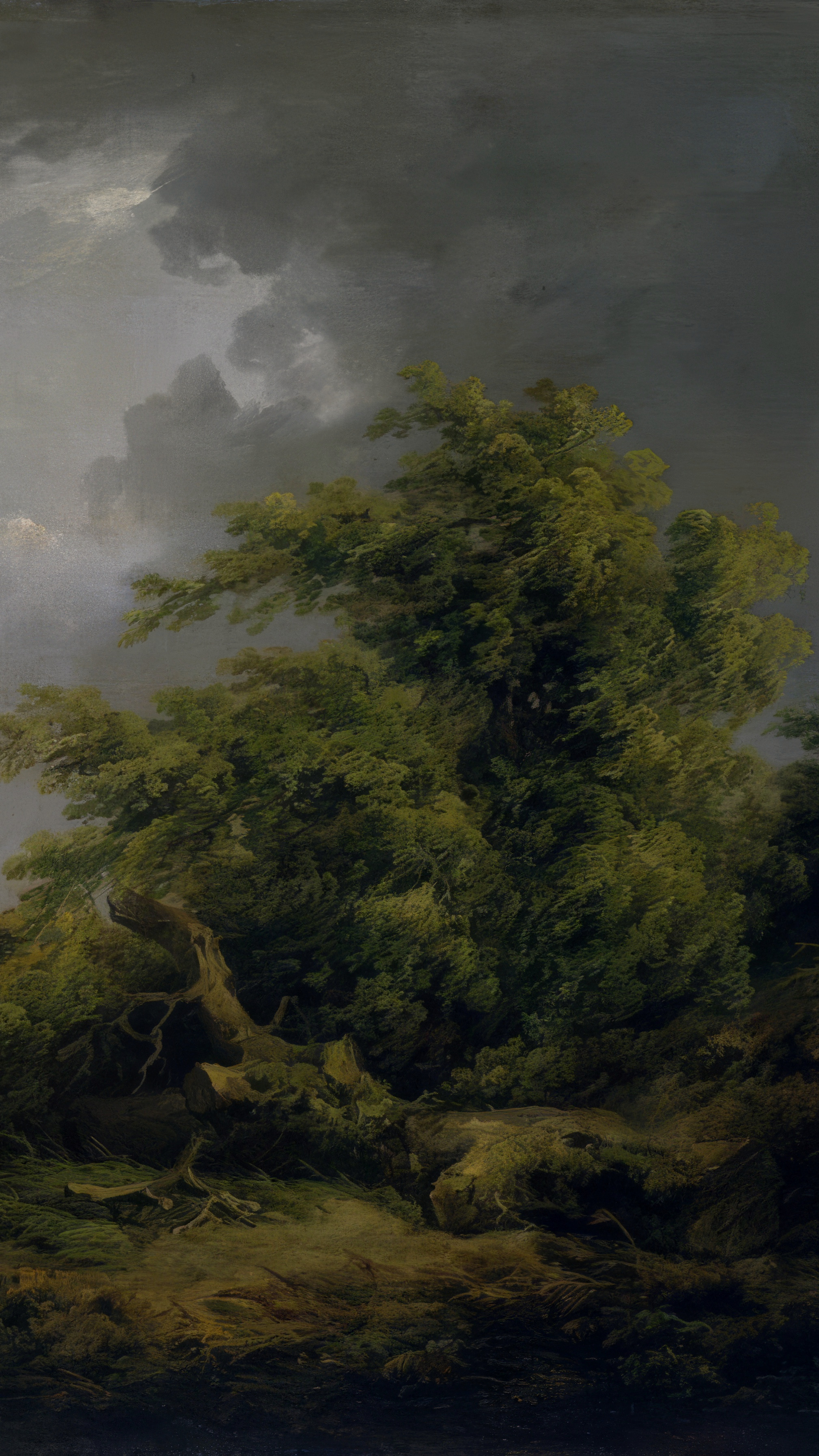 Dark moody vertical iPhone background from a painting: a heavy grey storm sky over half the height, a broken bare tree and dense hedgerow on the right, and a white pony catching the last light at the lower left