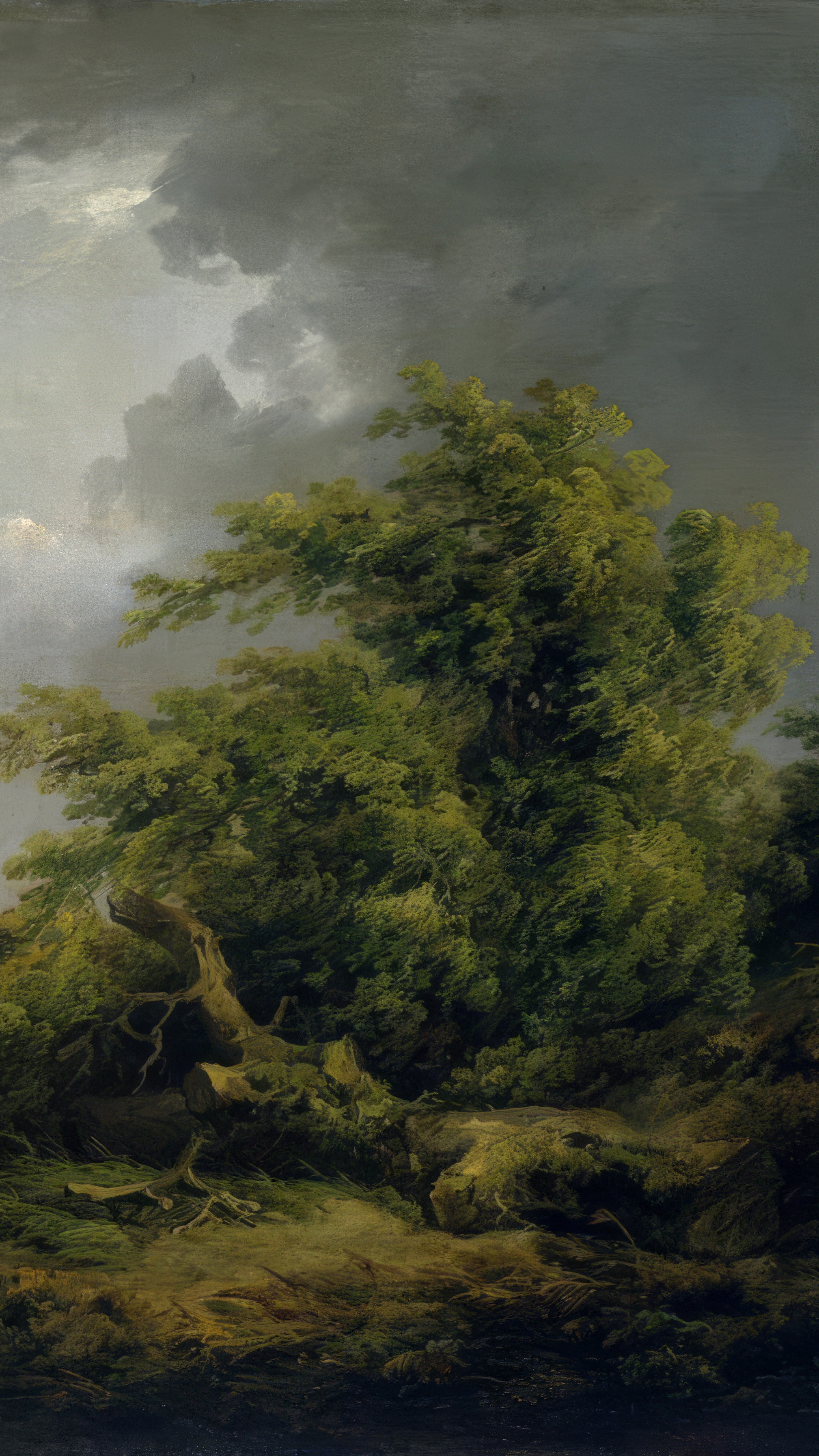 Dark moody vertical iPhone background from a painting: a heavy grey storm sky over half the height, a broken bare tree and dense hedgerow on the right, and a white pony catching the last light at the lower left