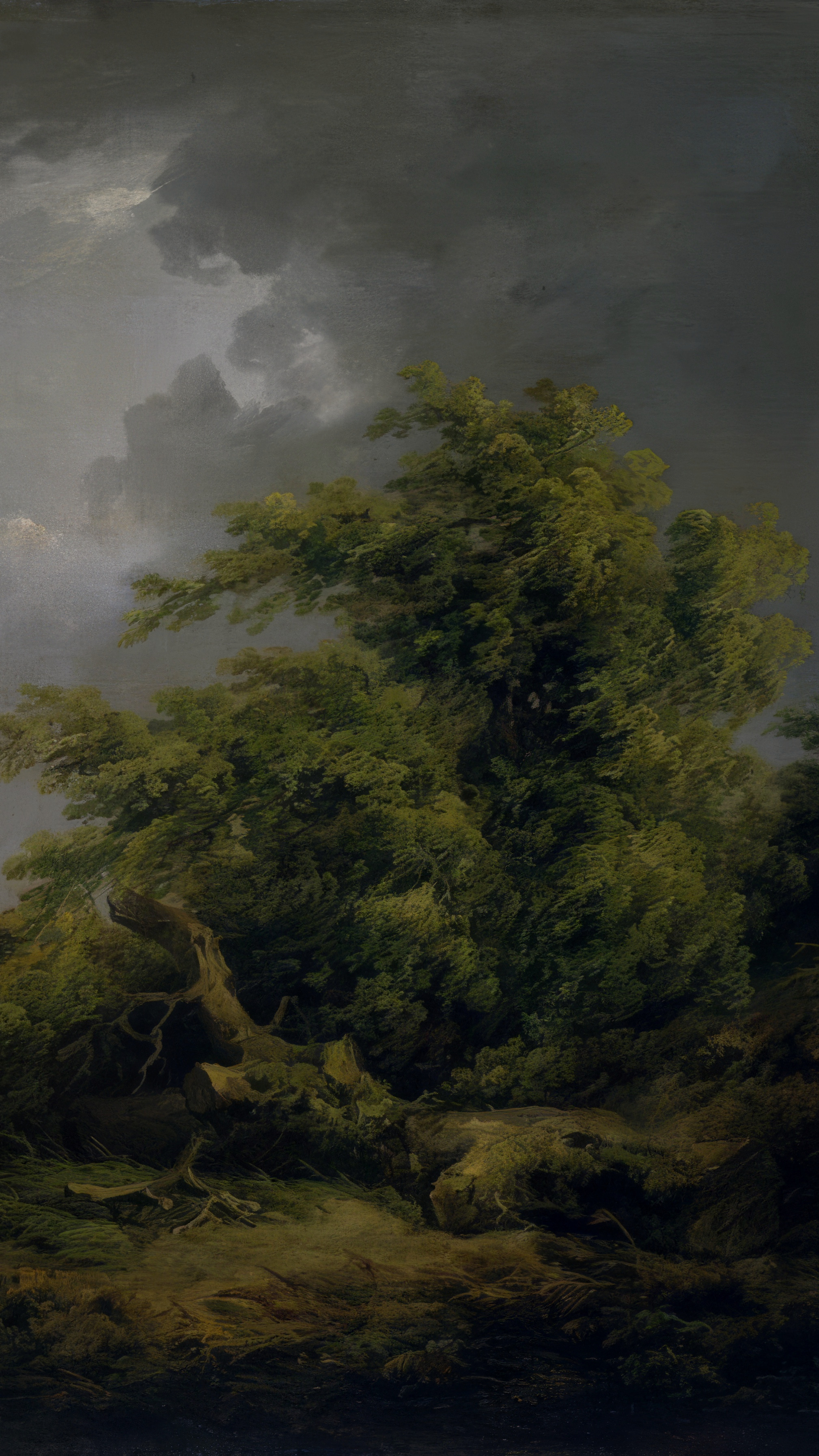 Dark moody vertical iPhone background from a painting: a heavy grey storm sky over half the height, a broken bare tree and dense hedgerow on the right, and a white pony catching the last light at the lower left