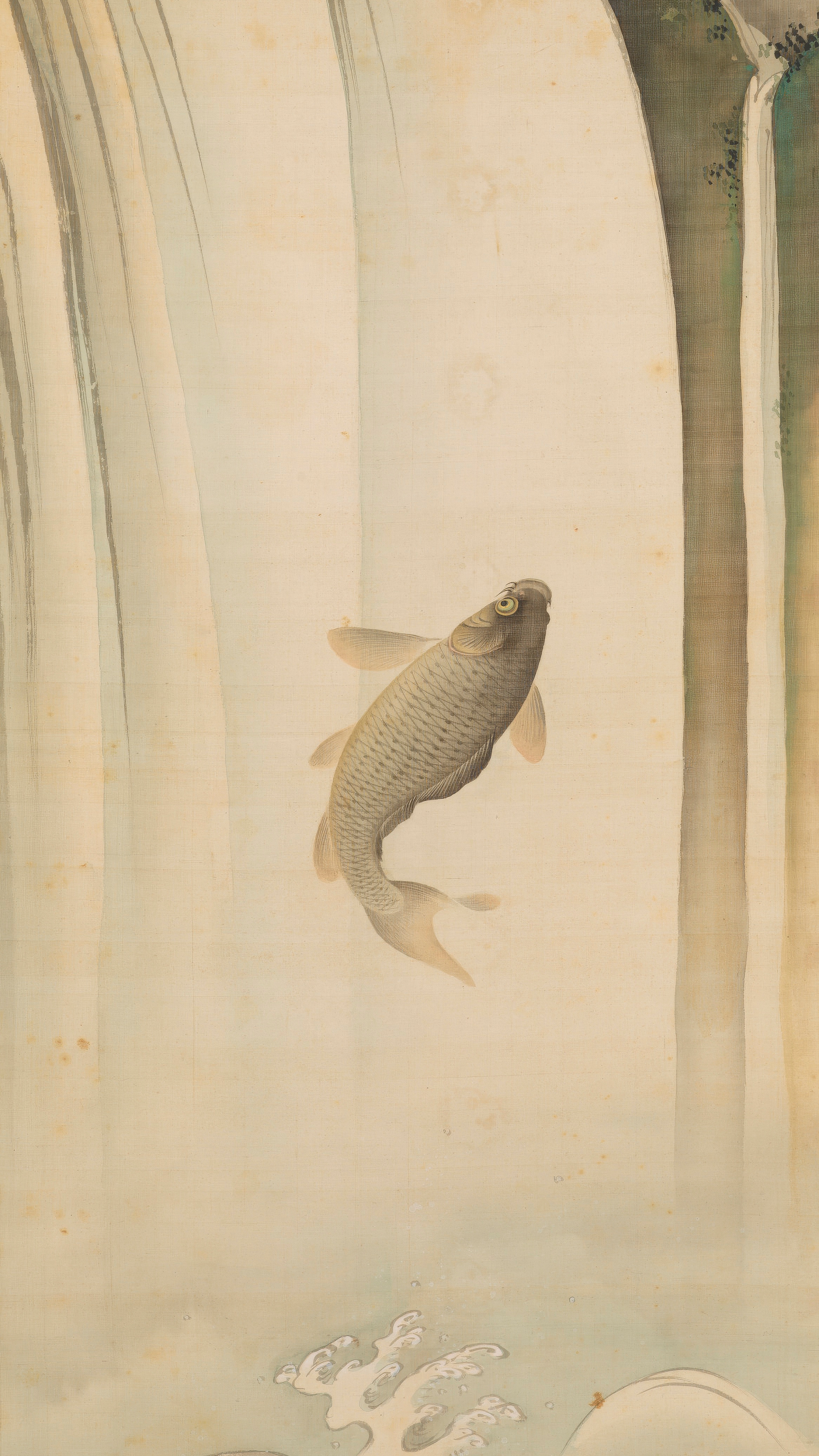 Japan painting phone wallpaper: Carp by Aizawa Bunseki, Meiji period, 19th century