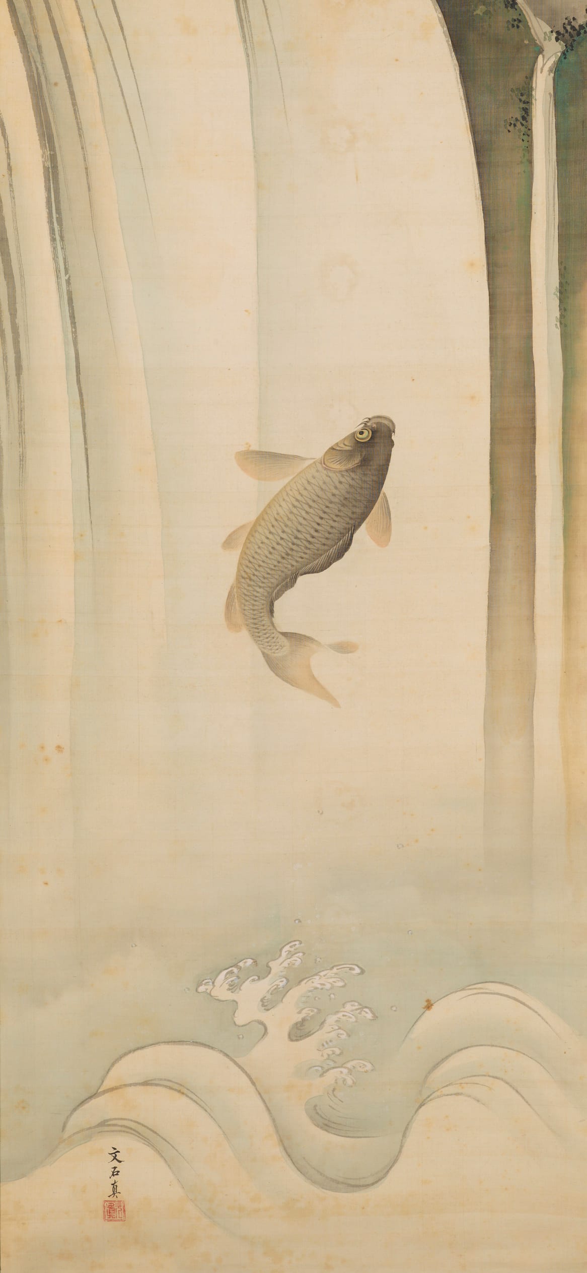 Carp, cropped to 9:19.5, tall phone background