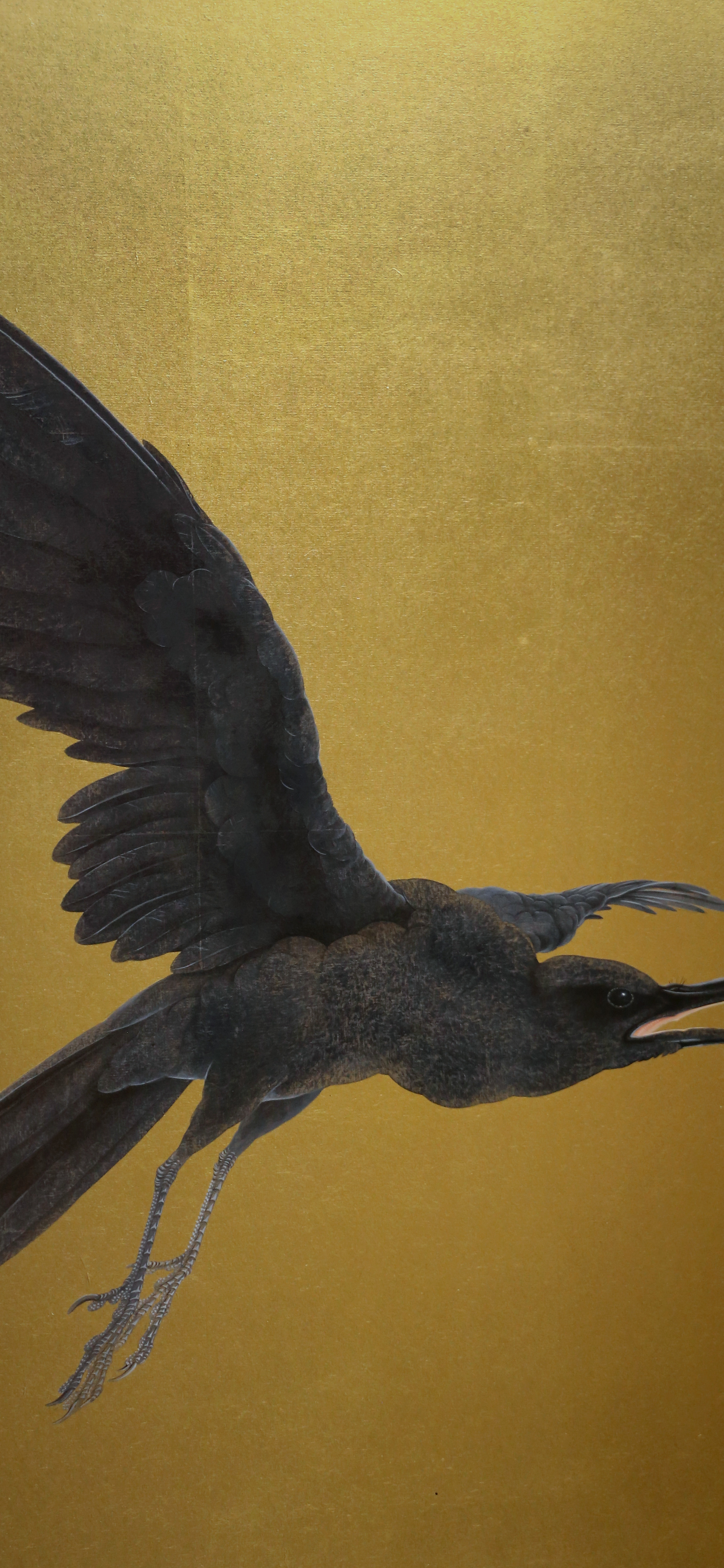 Crow in flight, cropped to 9:19.5, tall phone background