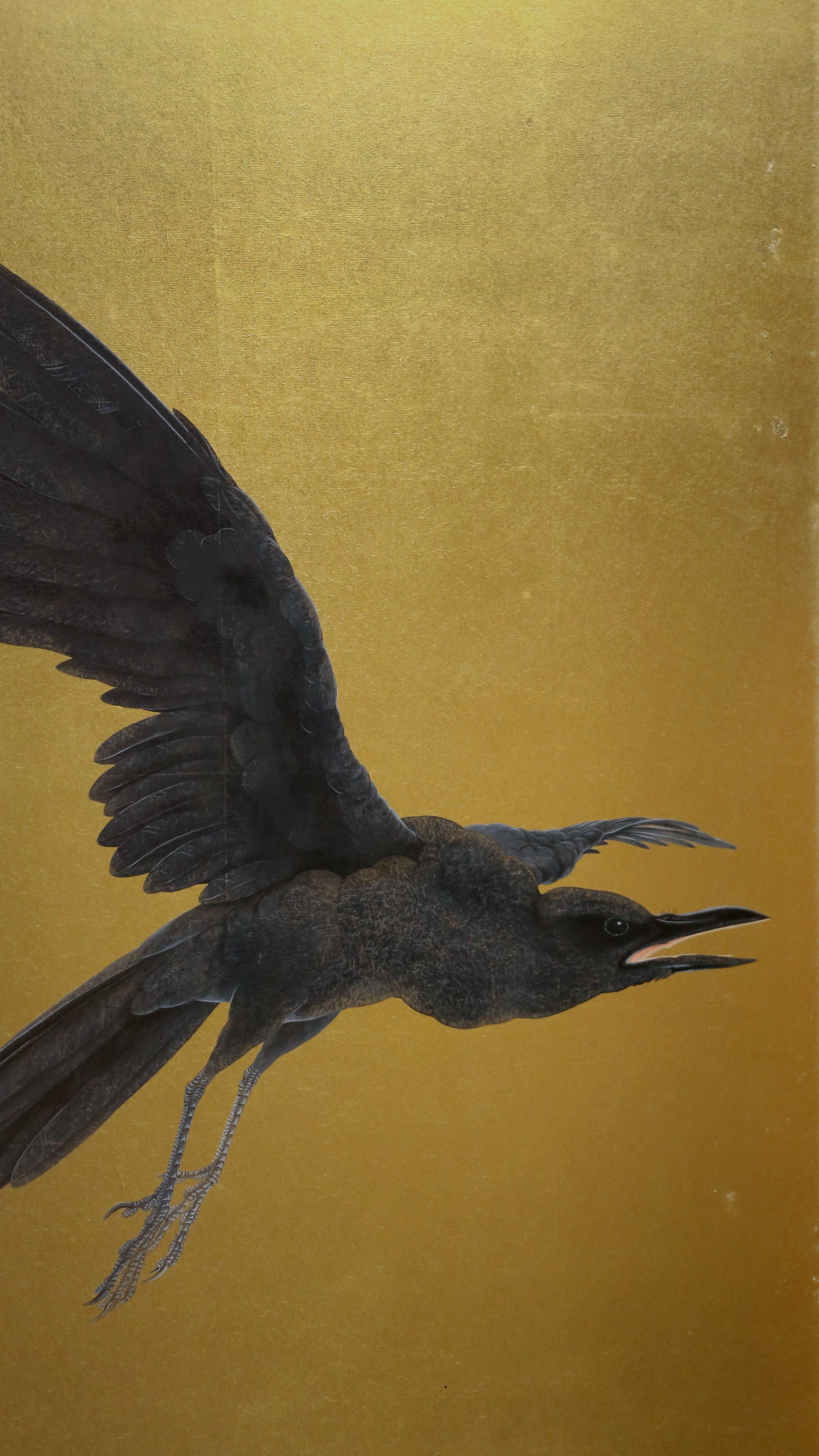 Vertical iPhone background from a Japanese screen painting: a black crow in flight filling the lower half of a plain gold ground, one wing raised and spread into separate feathers, beak open, thin grey legs trailing