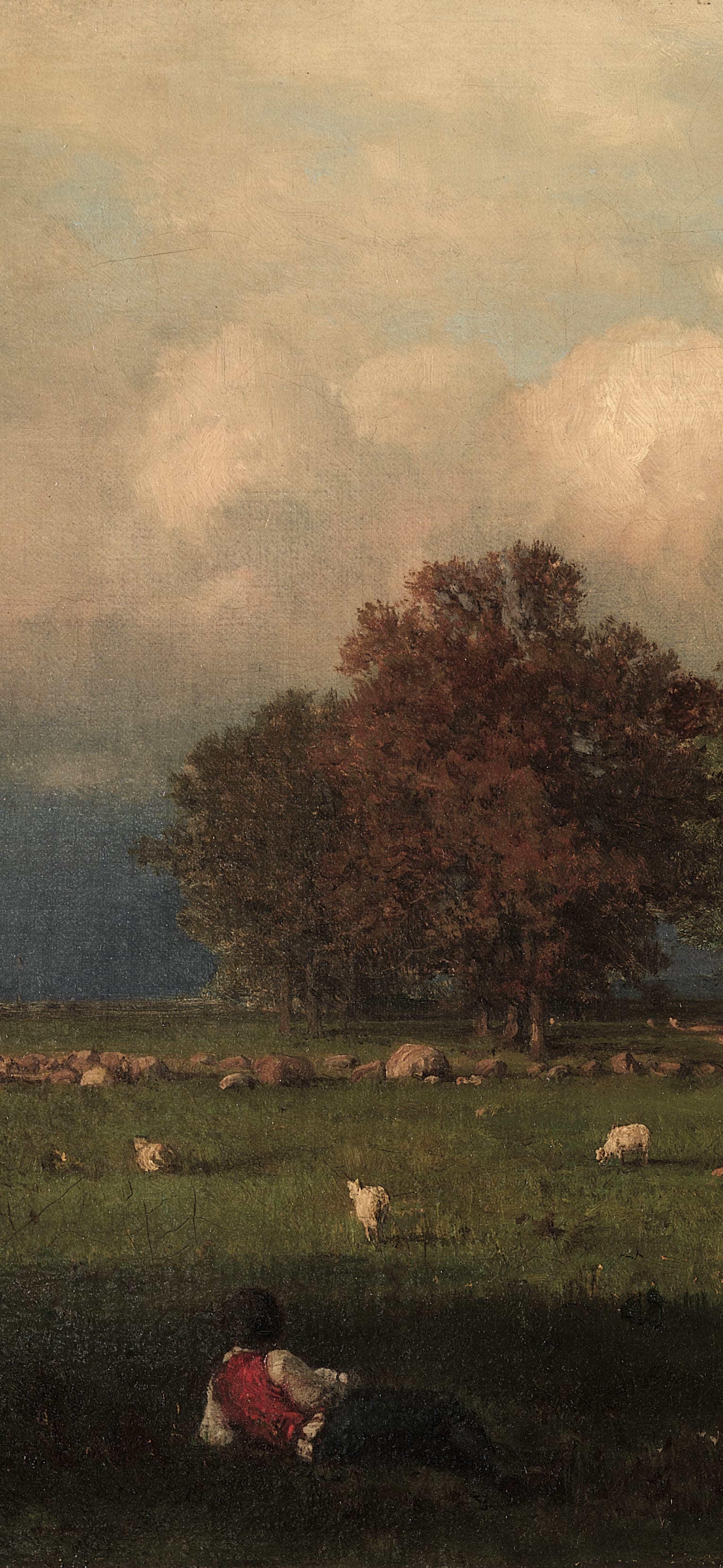Durham, Connecticut, cropped to 9:19.5, tall phone background