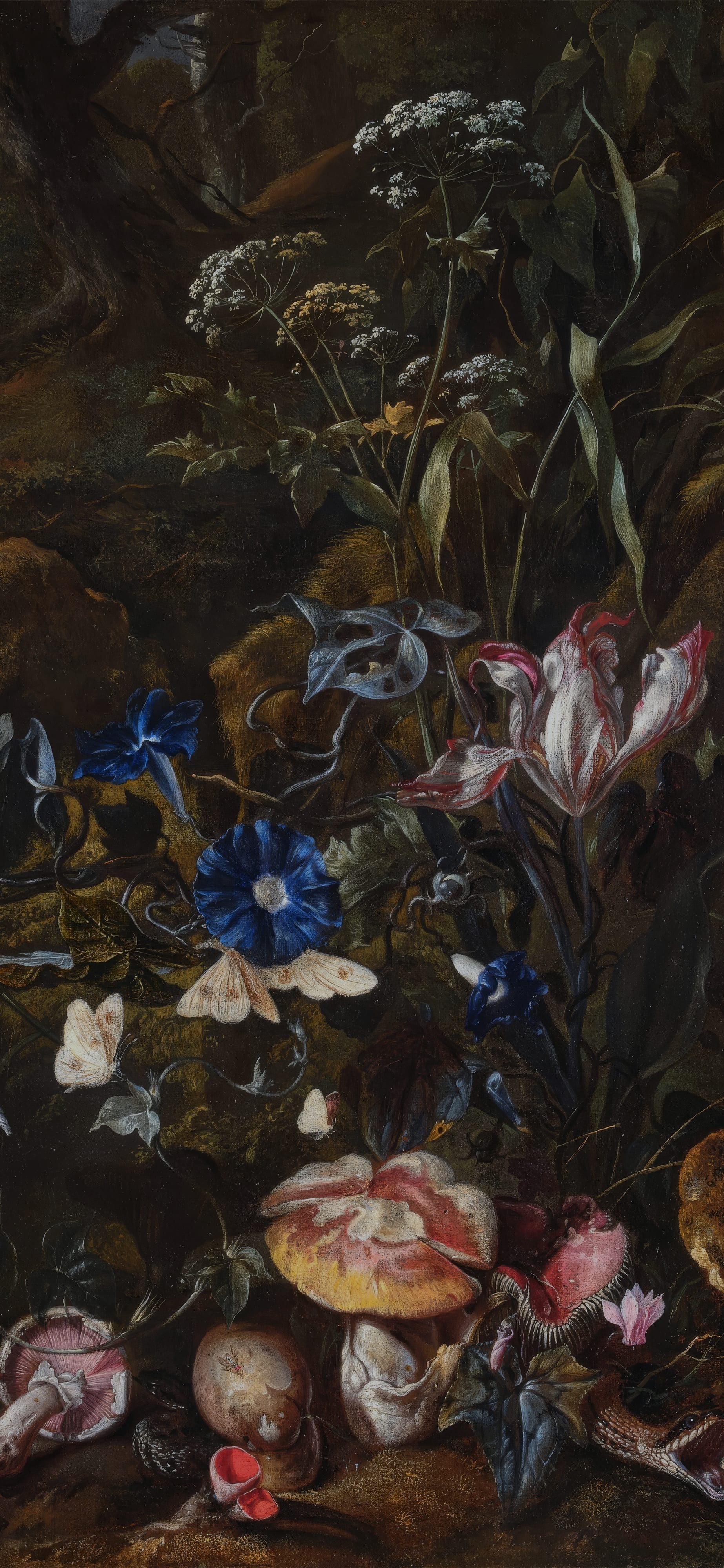 Forest Floor Still-Life, cropped to 9:19.5, tall phone background