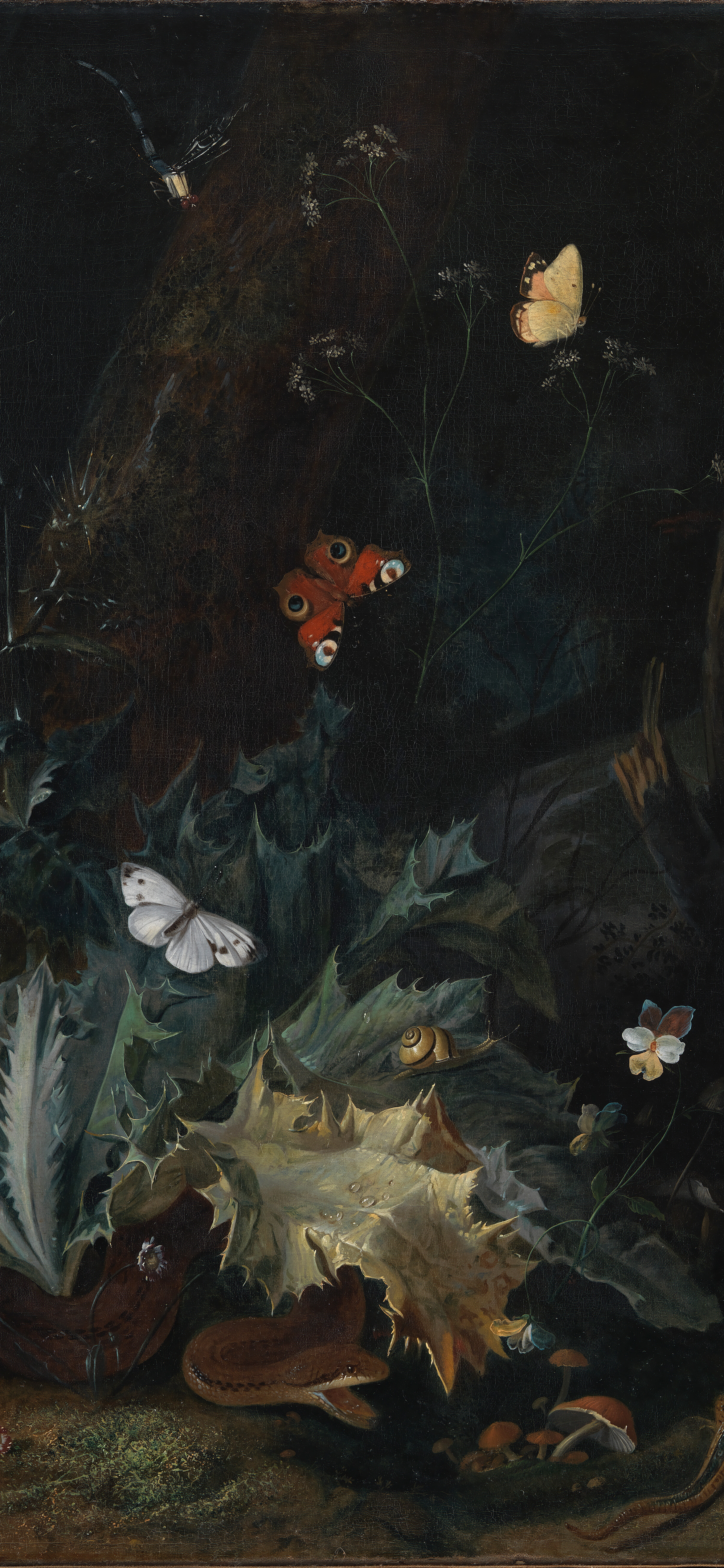 Forest Floor with a Thistle and Butterflies, cropped to 9:19.5, tall phone background
