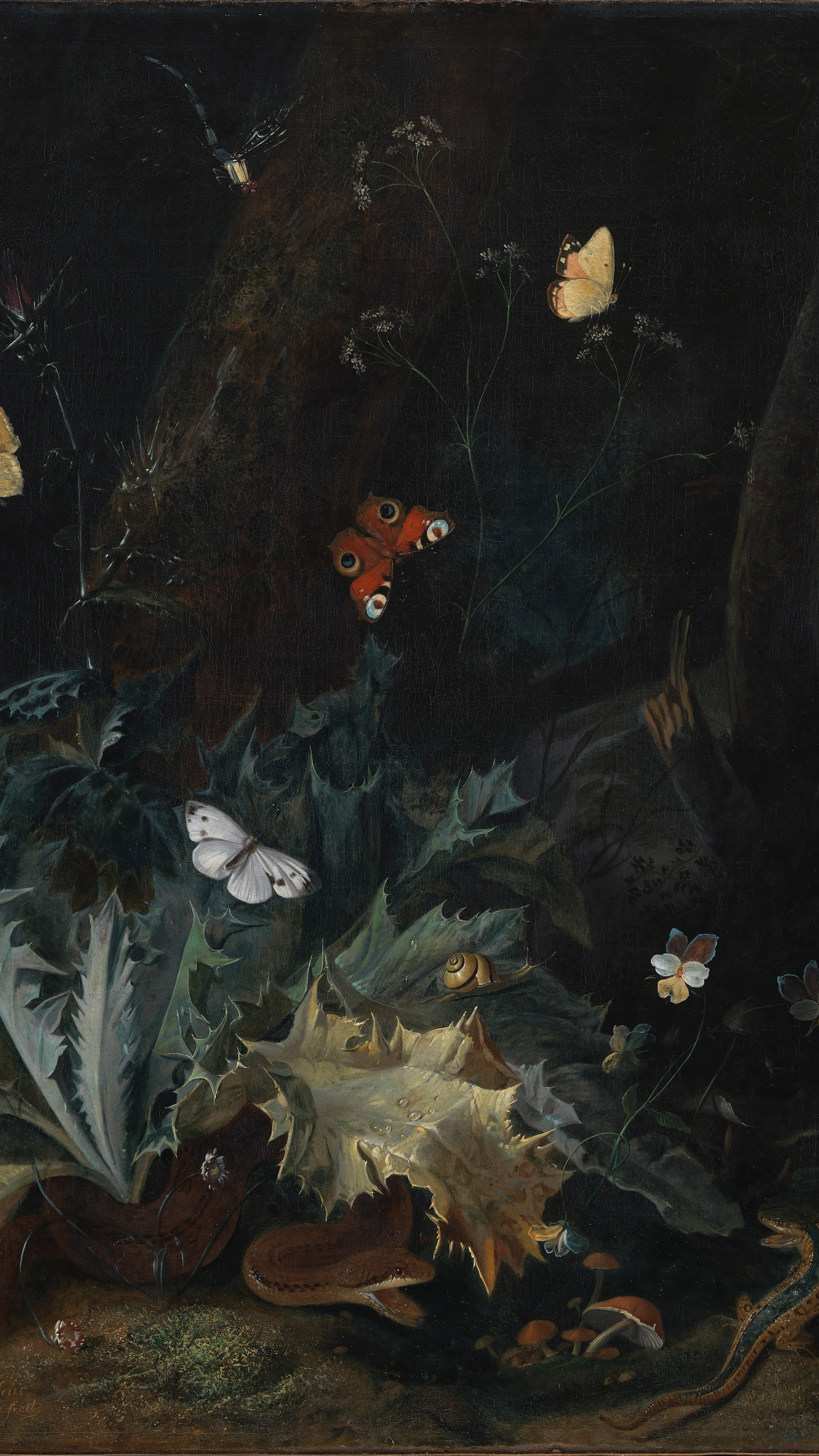 Dark moody vertical iPhone background from a painting: dark forest floor with spiky thistle, peacock butterfly, white butterfly, dragonfly, snail and mushrooms on near-black ground, jewel-like detail