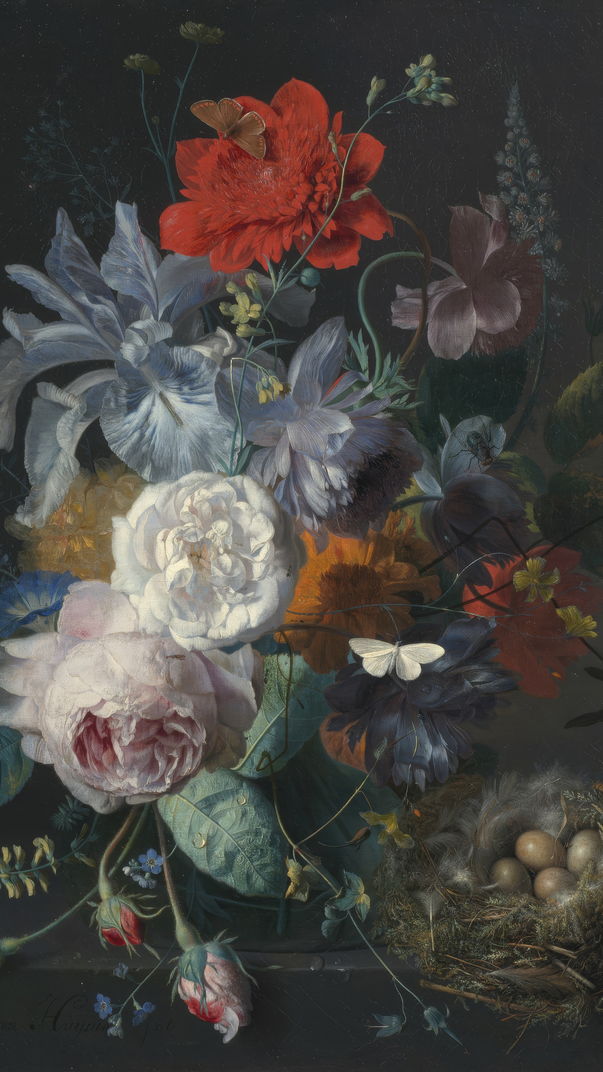 Dark moody vertical iPhone background from a painting: a crowded bouquet against black — a scarlet poppy above, white and pink roses, blue irises, a white moth — and a finch nest with speckled eggs on the ledge at the right