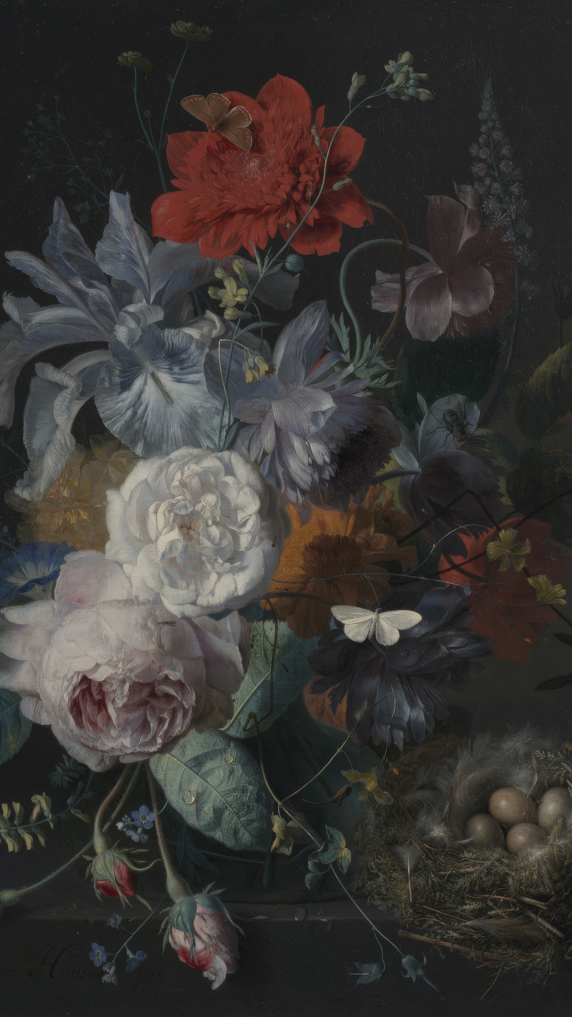 Dark moody vertical iPhone background from a painting: a crowded bouquet against black — a scarlet poppy above, white and pink roses, blue irises, a white moth — and a finch nest with speckled eggs on the ledge at the right