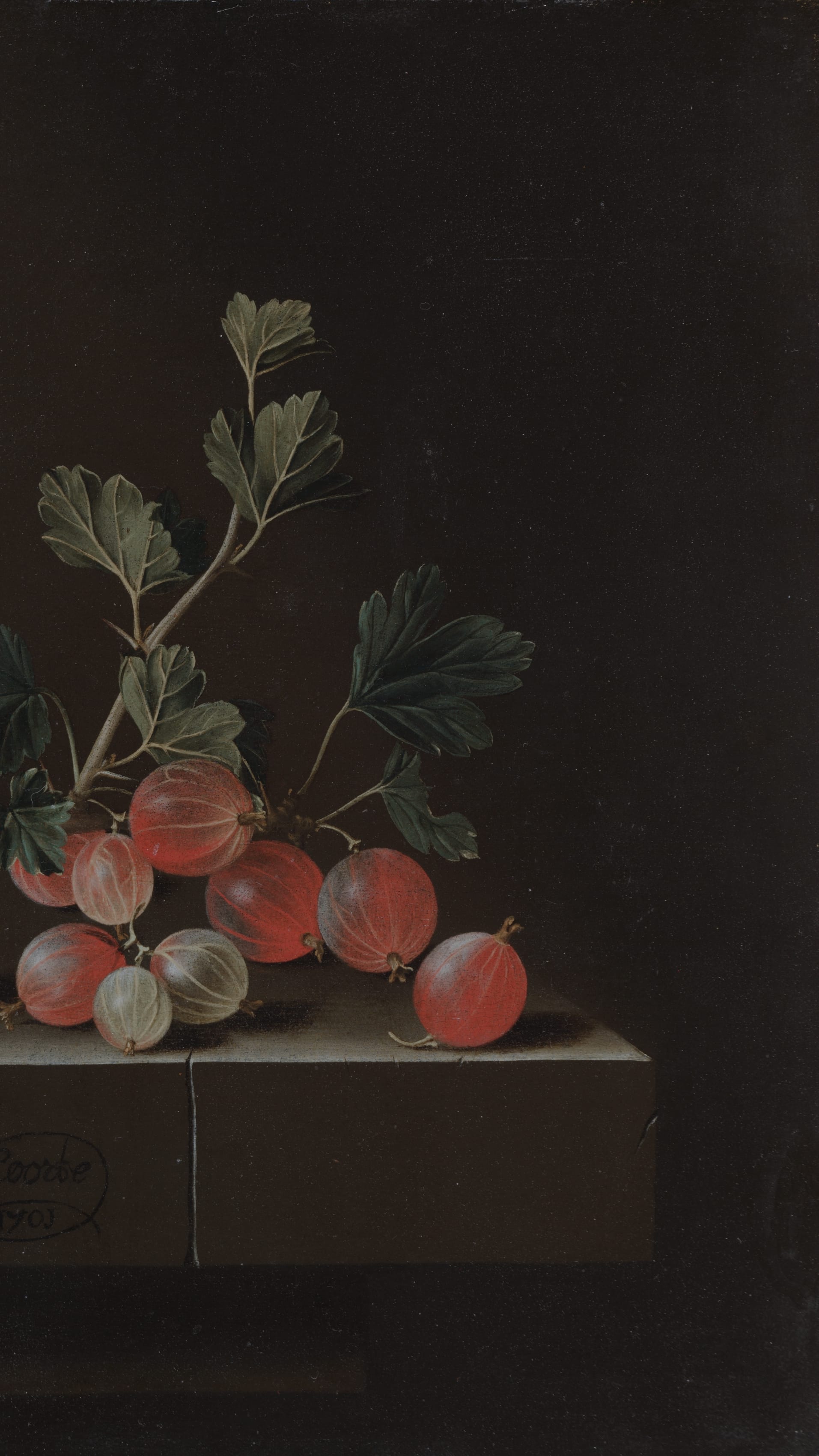 Dark academia vertical iPhone background from a painting: red and white gooseberries on a stone ledge, dark olive-green leafy branch, deep brown background, dramatic chiaroscuro lighting