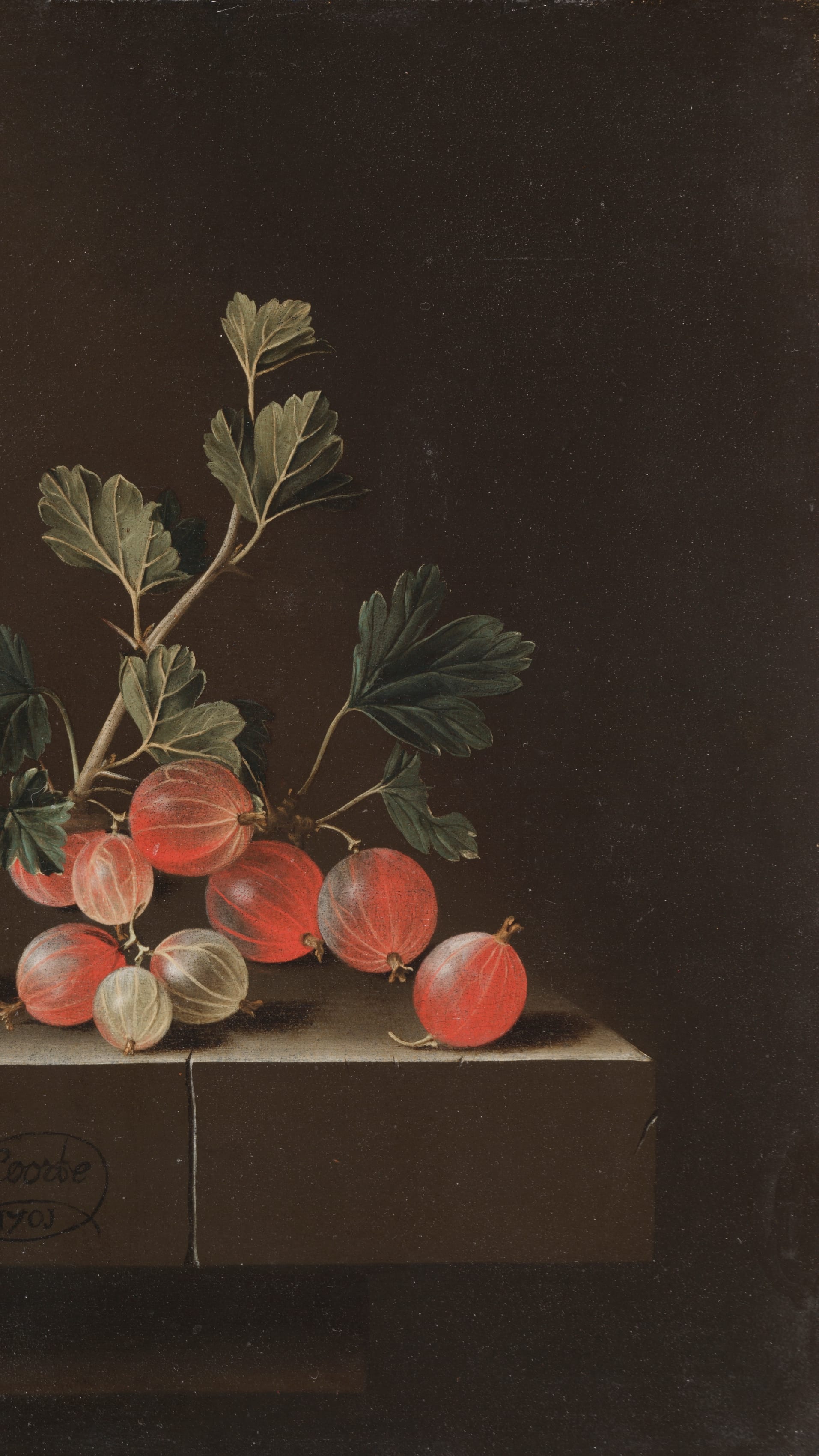 Dark academia vertical iPhone background from a painting: red and white gooseberries on a stone ledge, dark olive-green leafy branch, deep brown background, dramatic chiaroscuro lighting