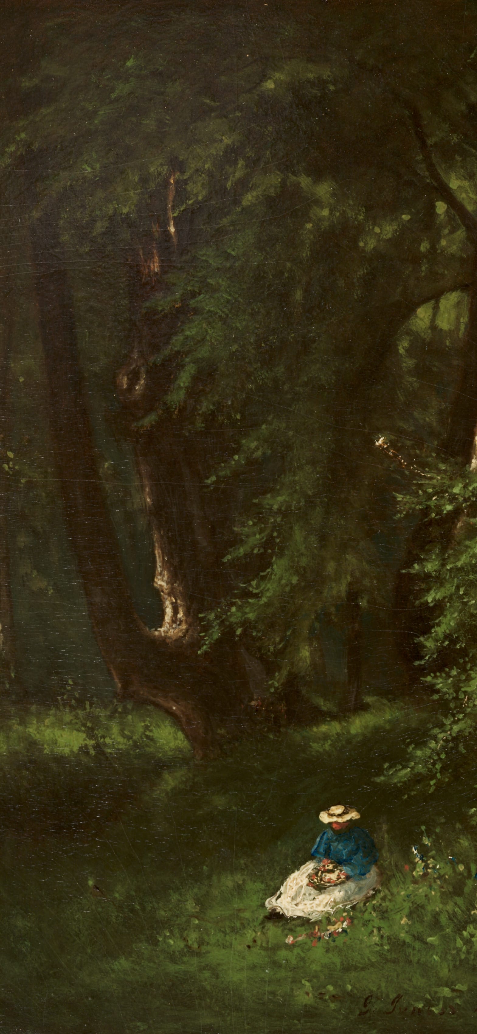 In the Woods, cropped to 9:19.5, tall phone background