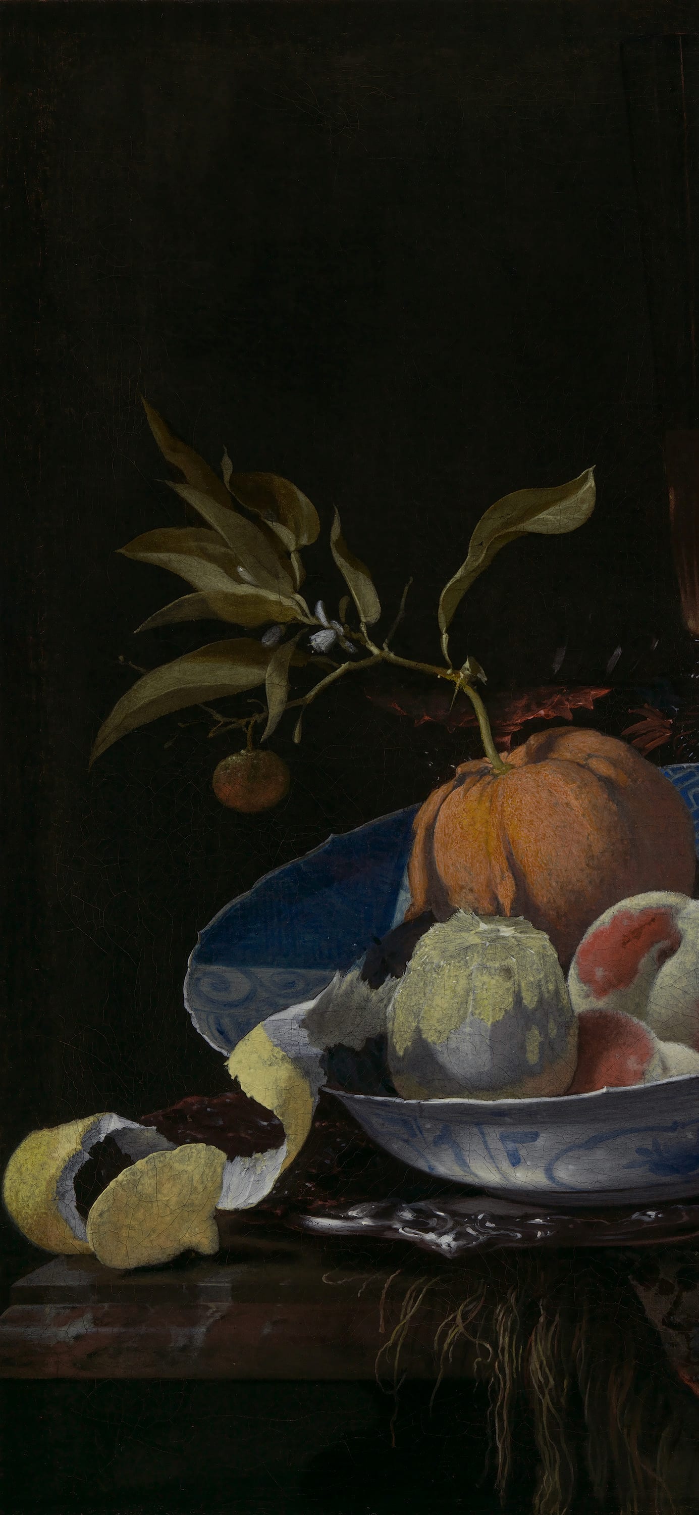 Still Life with Lemon Peel, cropped to 9:19.5, tall phone background