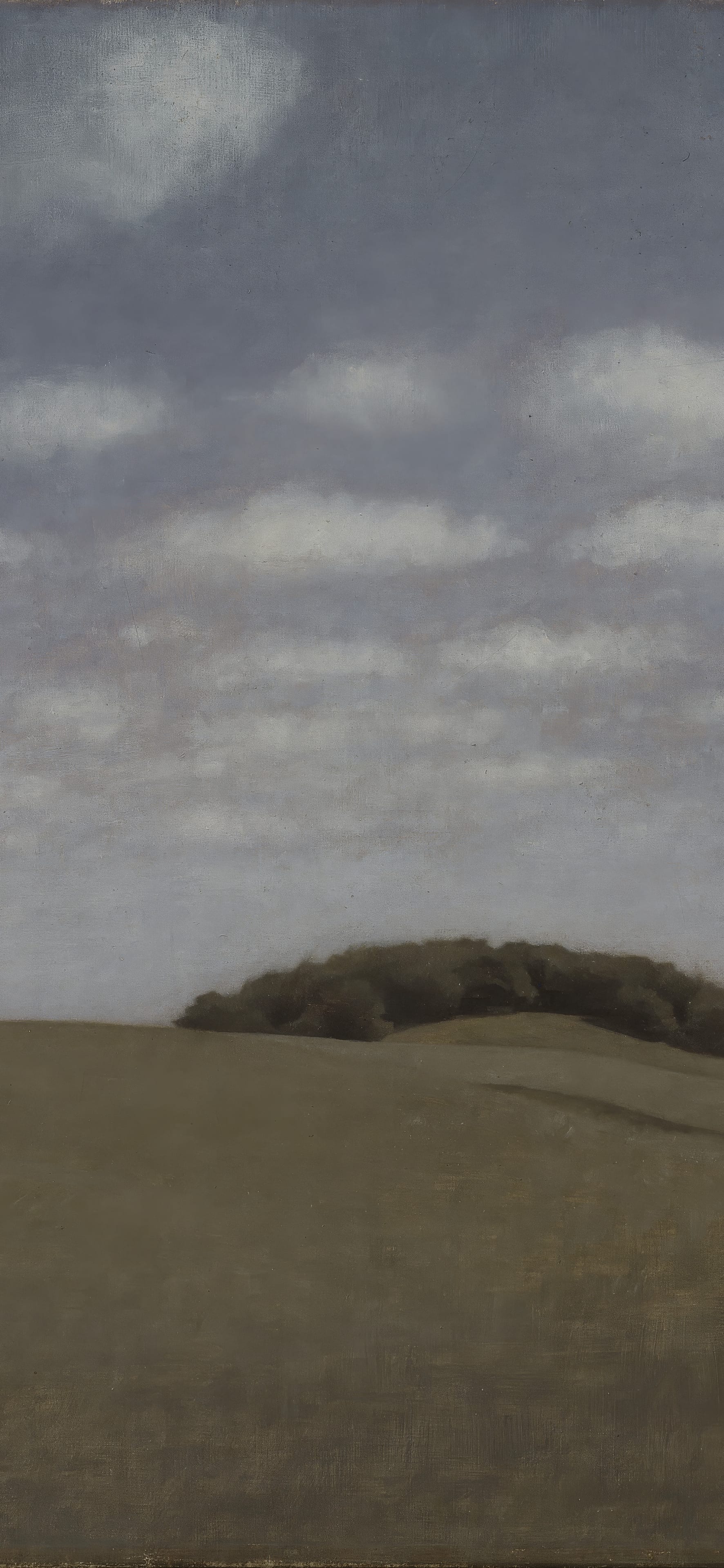 Landscape, From Lejre, cropped to 9:19.5, tall phone background