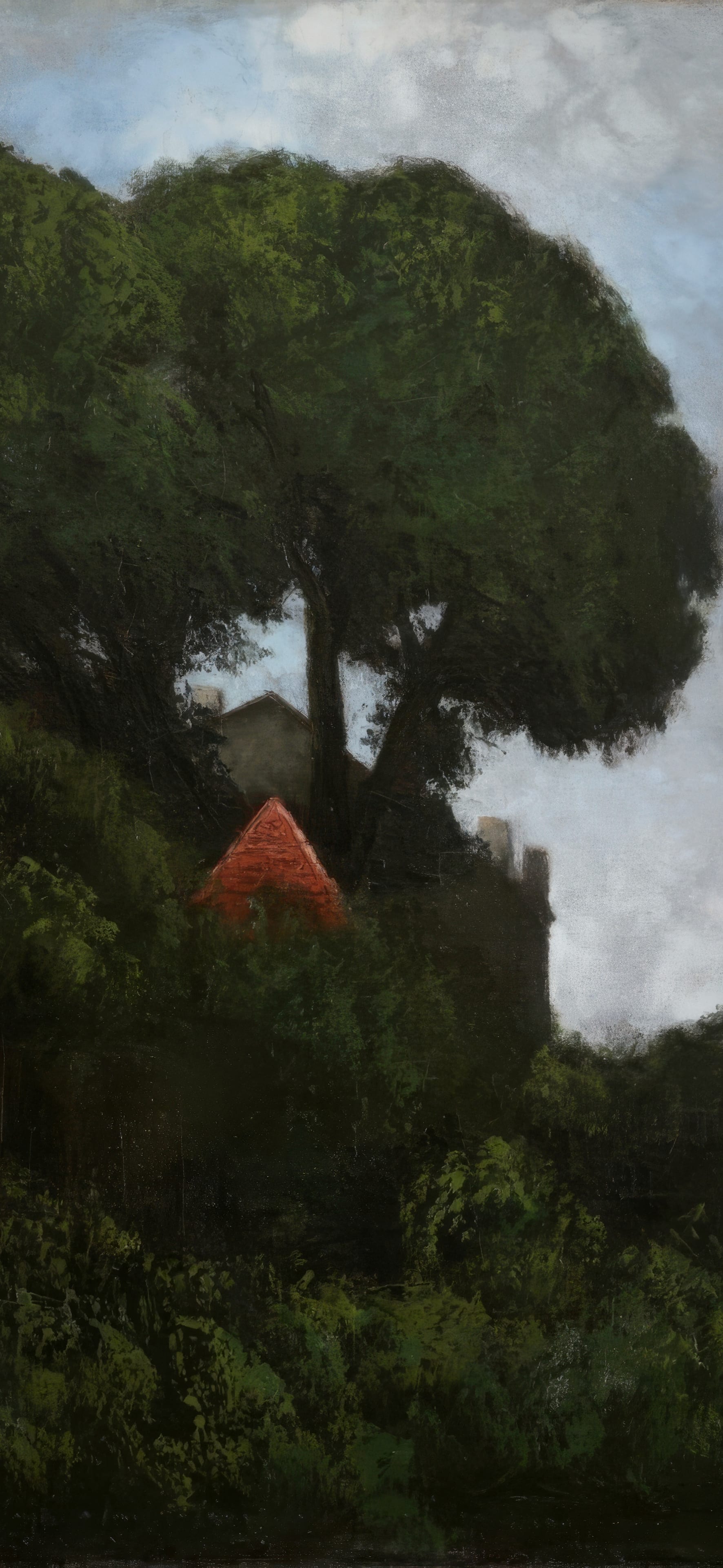 Landscape, cropped to 9:19.5, tall phone background