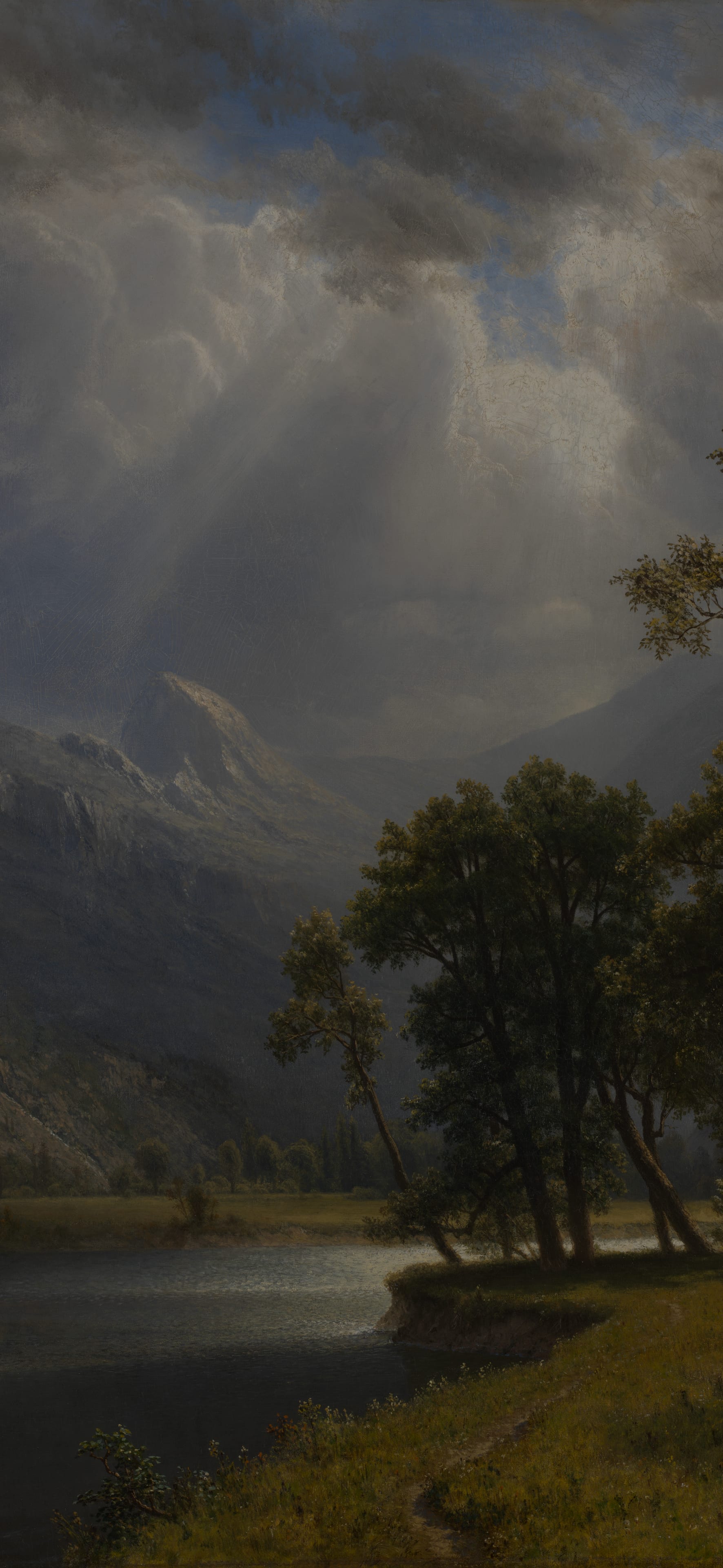 Mount Starr King, Yosemite, cropped to 9:19.5, tall phone background