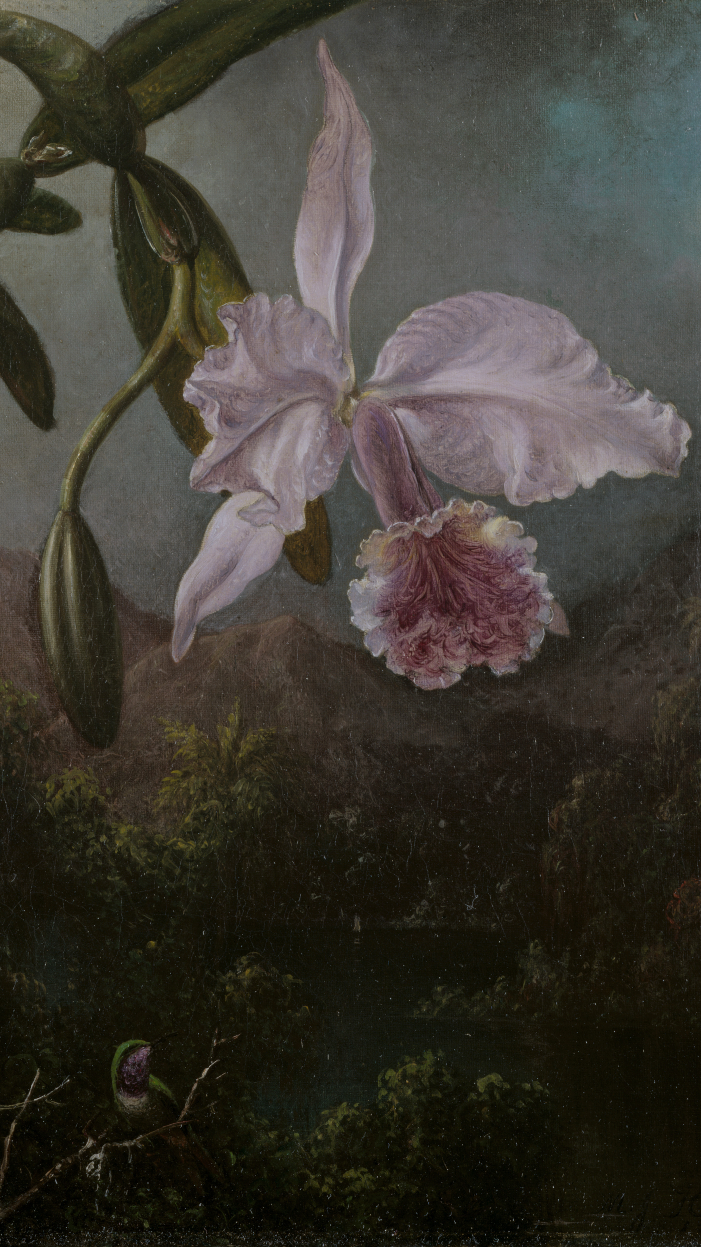 iPhone wallpaper from a painting: white and magenta orchid on a branch against dark green jungle with a small bird below