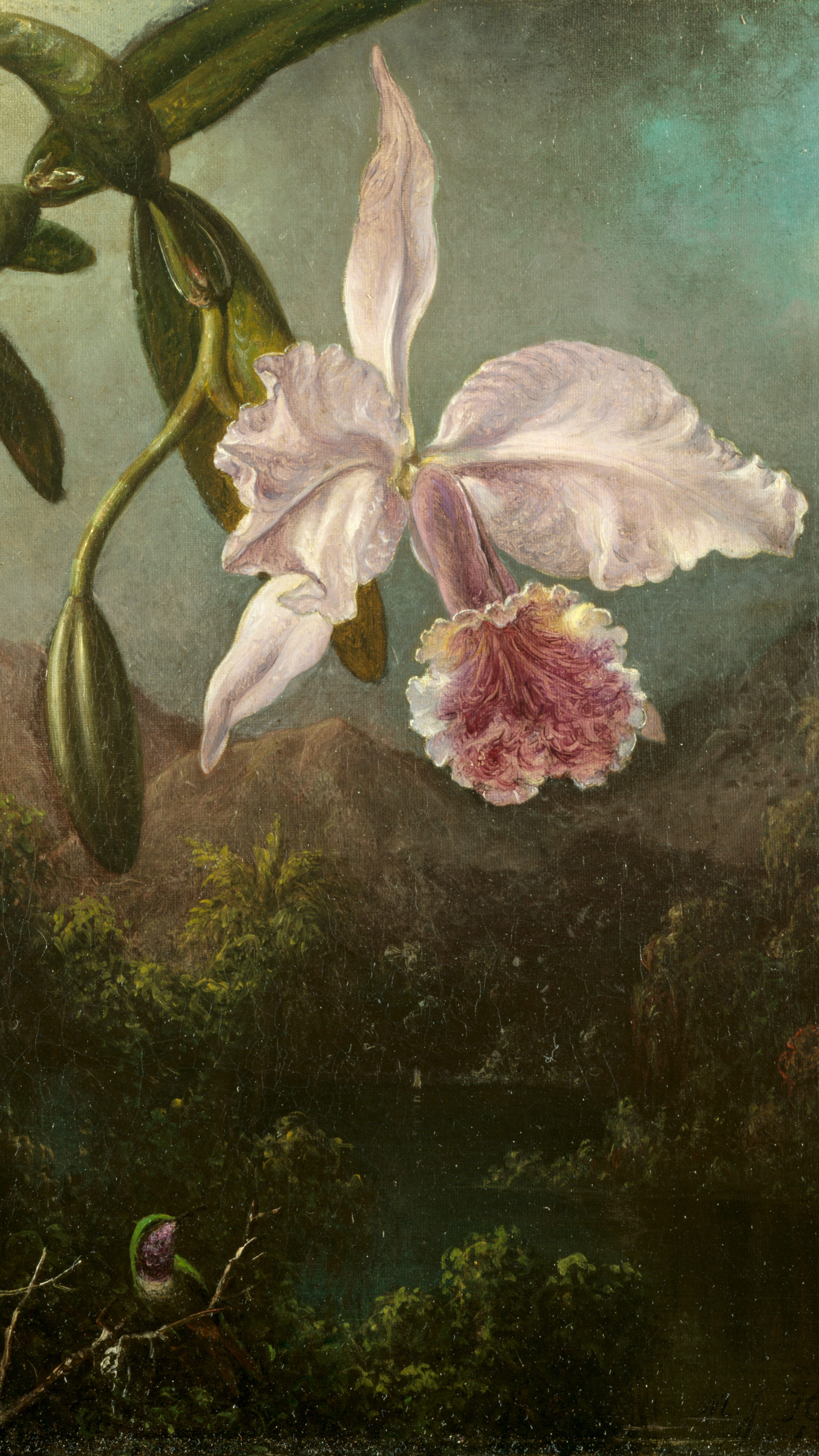 iPhone wallpaper from a painting: white and magenta orchid on a branch against dark green jungle with a small bird below