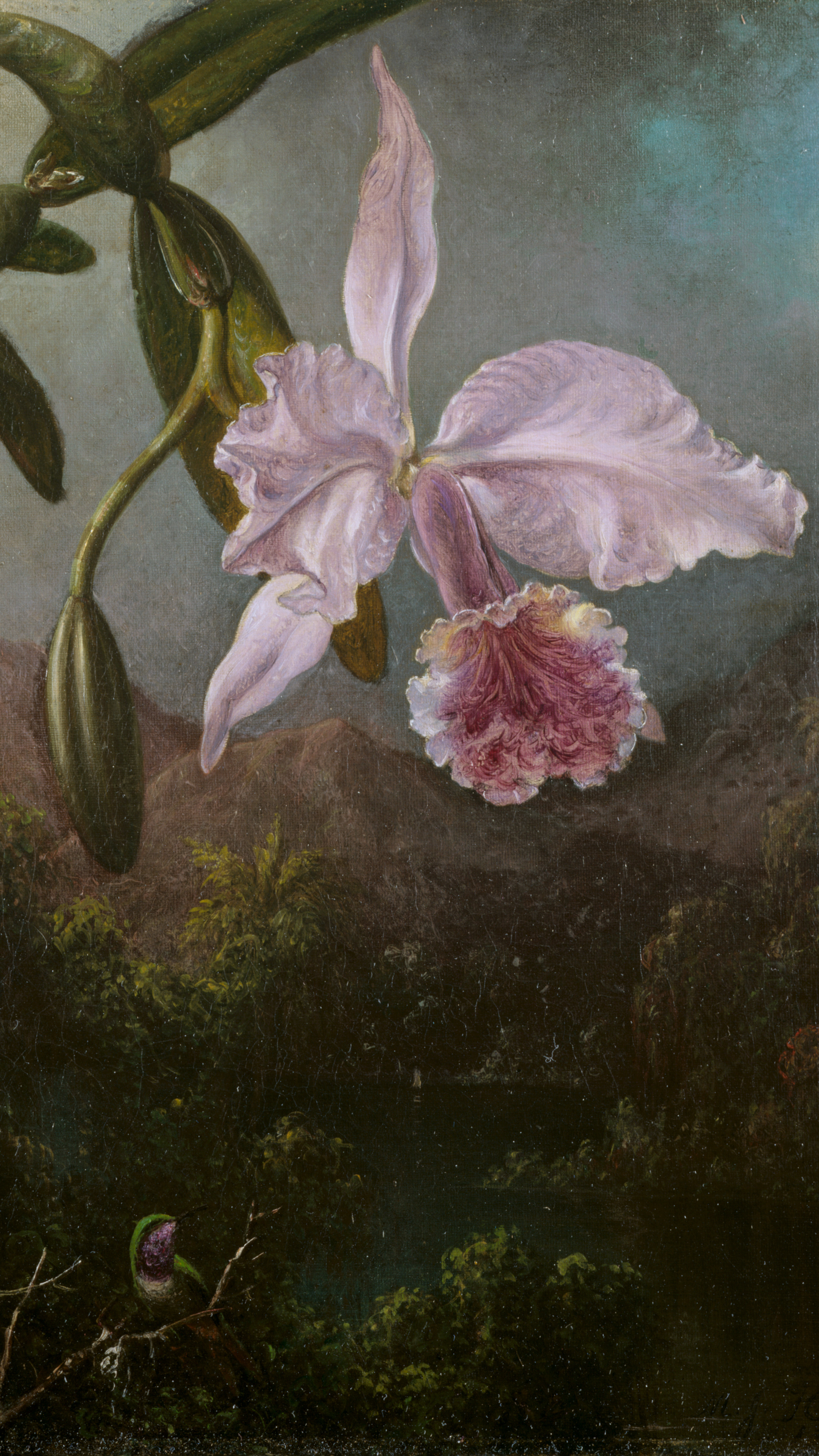 iPhone wallpaper from a painting: white and magenta orchid on a branch against dark green jungle with a small bird below