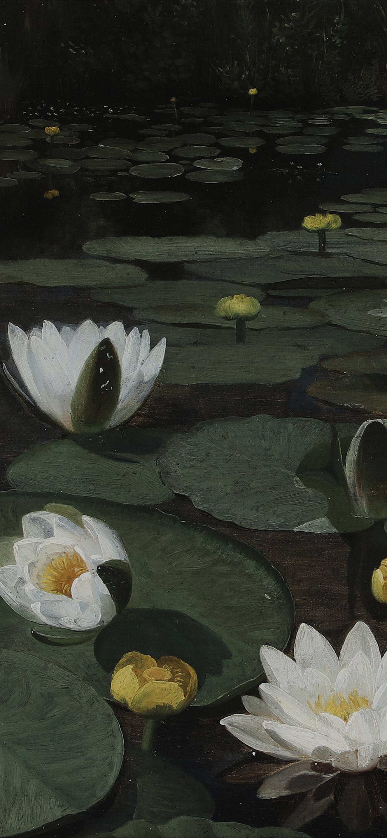 Forest Lake with Water Lilies, cropped to 9:19.5, tall phone background