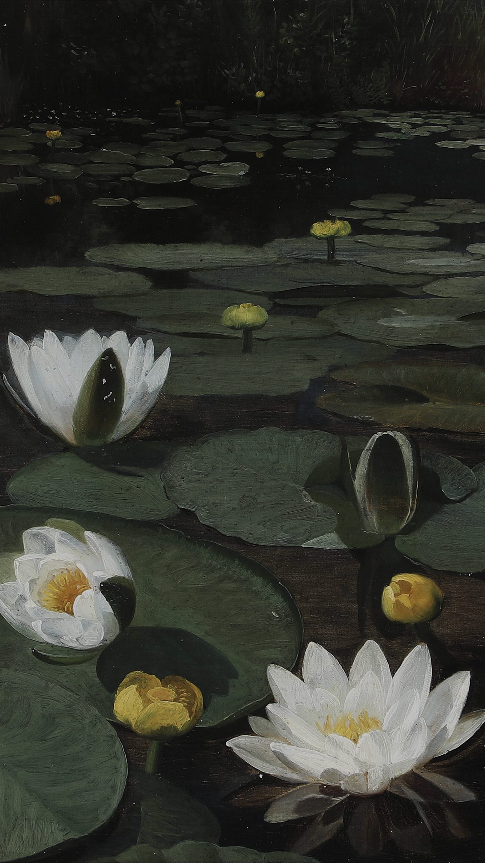 Dark moody desktop background from a painting: white water lilies and lily pads scattered across a dark forest lake, trees reflected faintly in the still water