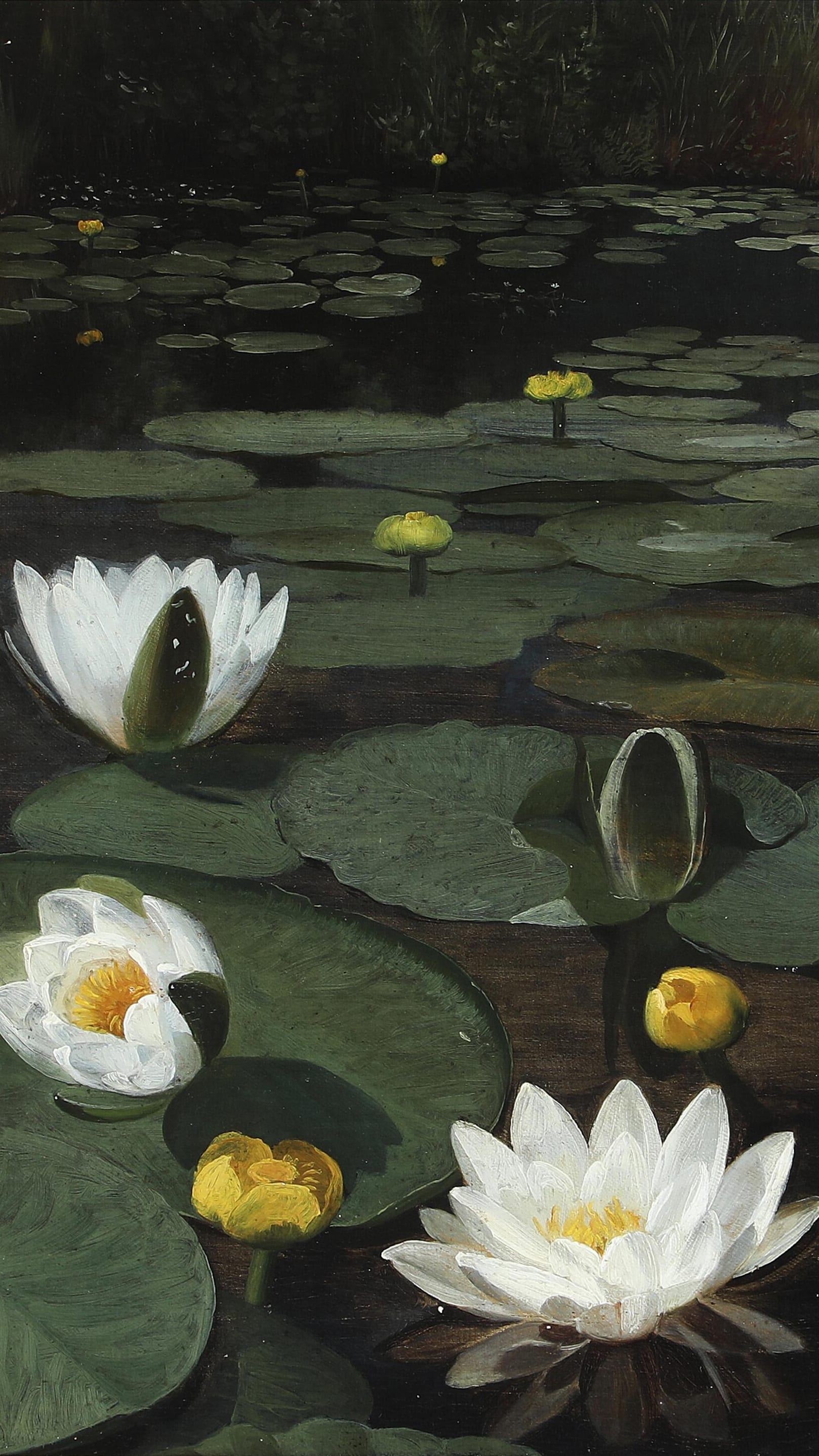 Dark moody desktop background from a painting: white water lilies and lily pads scattered across a dark forest lake, trees reflected faintly in the still water