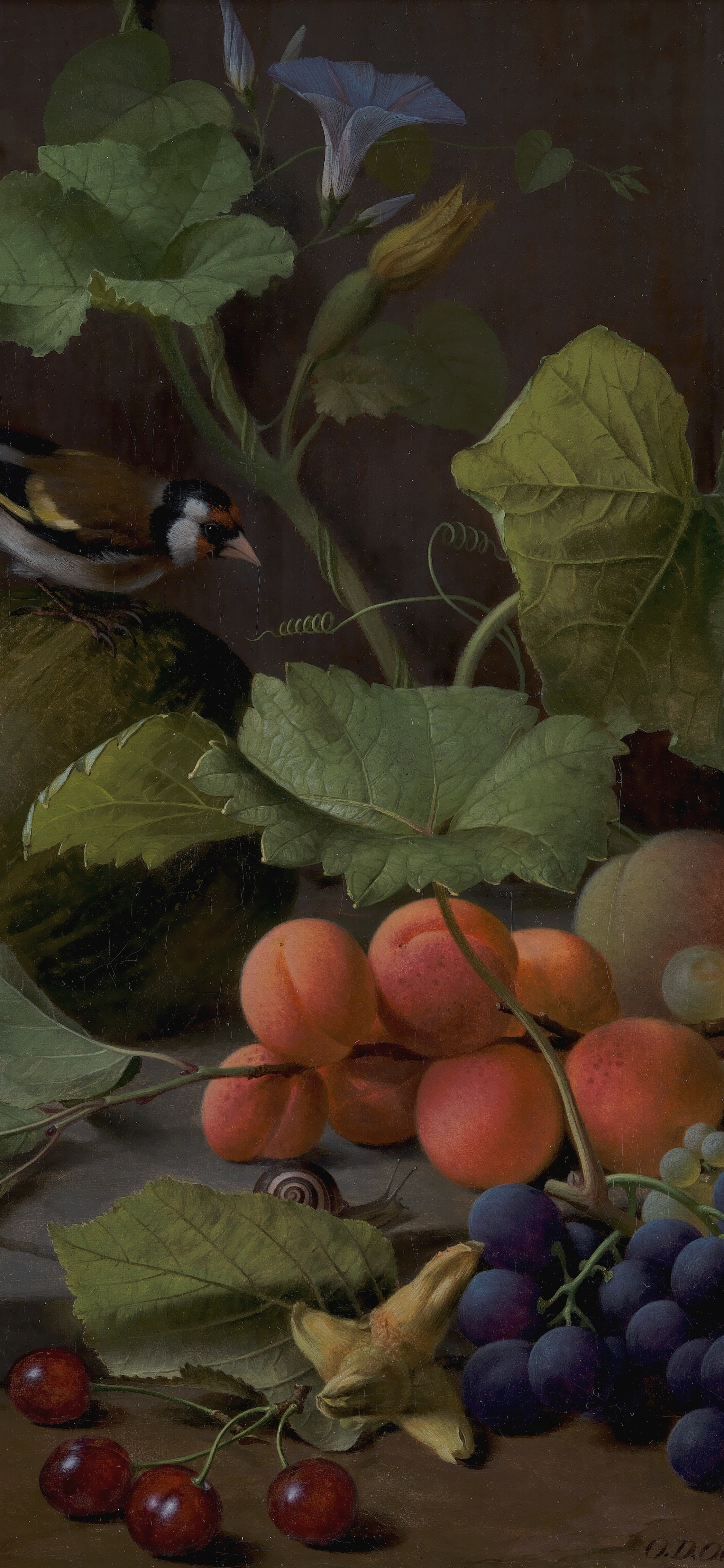 Fruit Piece with a Goldfinch, cropped to 9:19.5, tall phone background