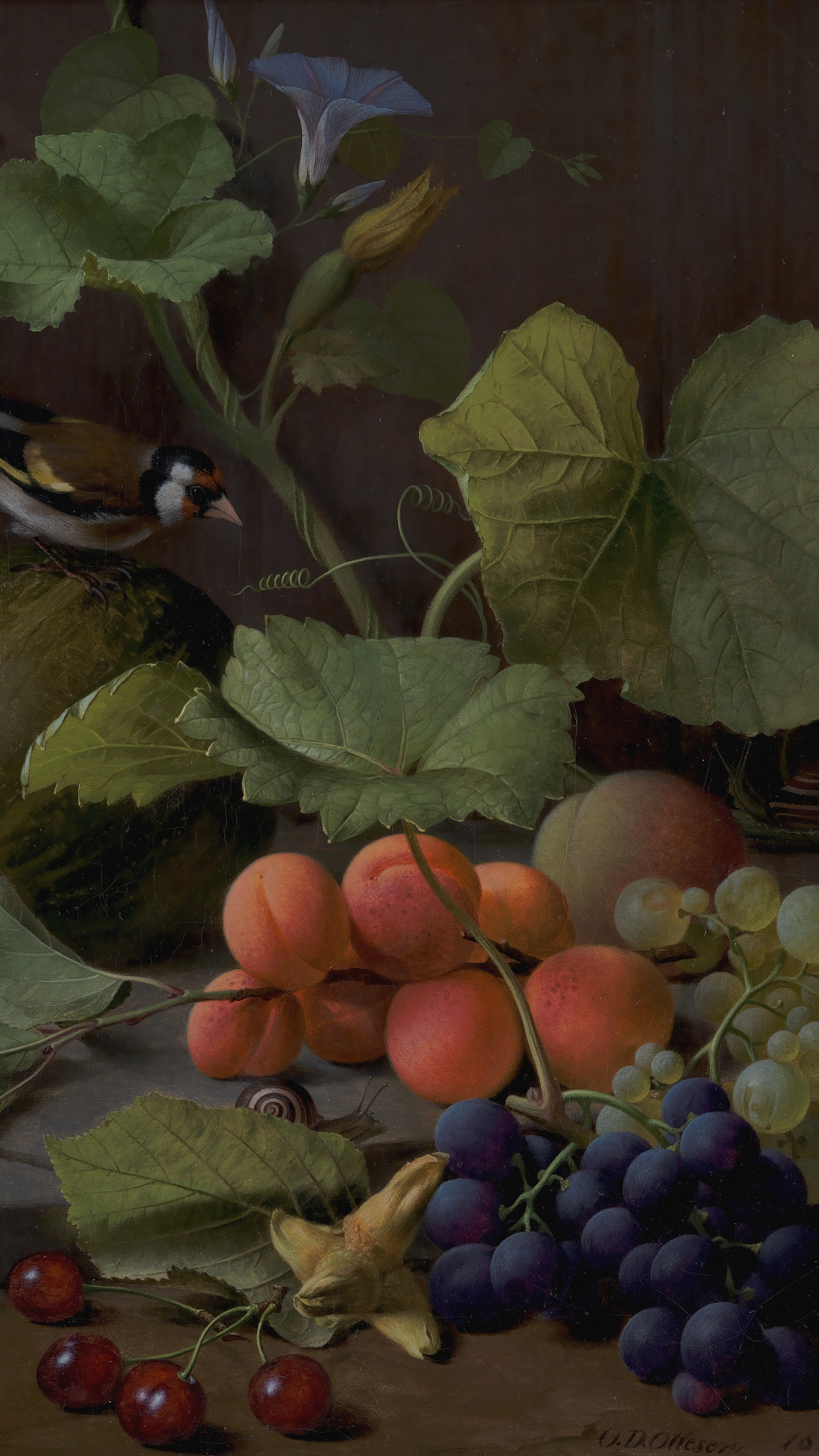 Dark academia vertical iPhone background from a painting: a goldfinch perched on a melon among apricots, grapes and cherries, a pale blue morning glory flower climbing above