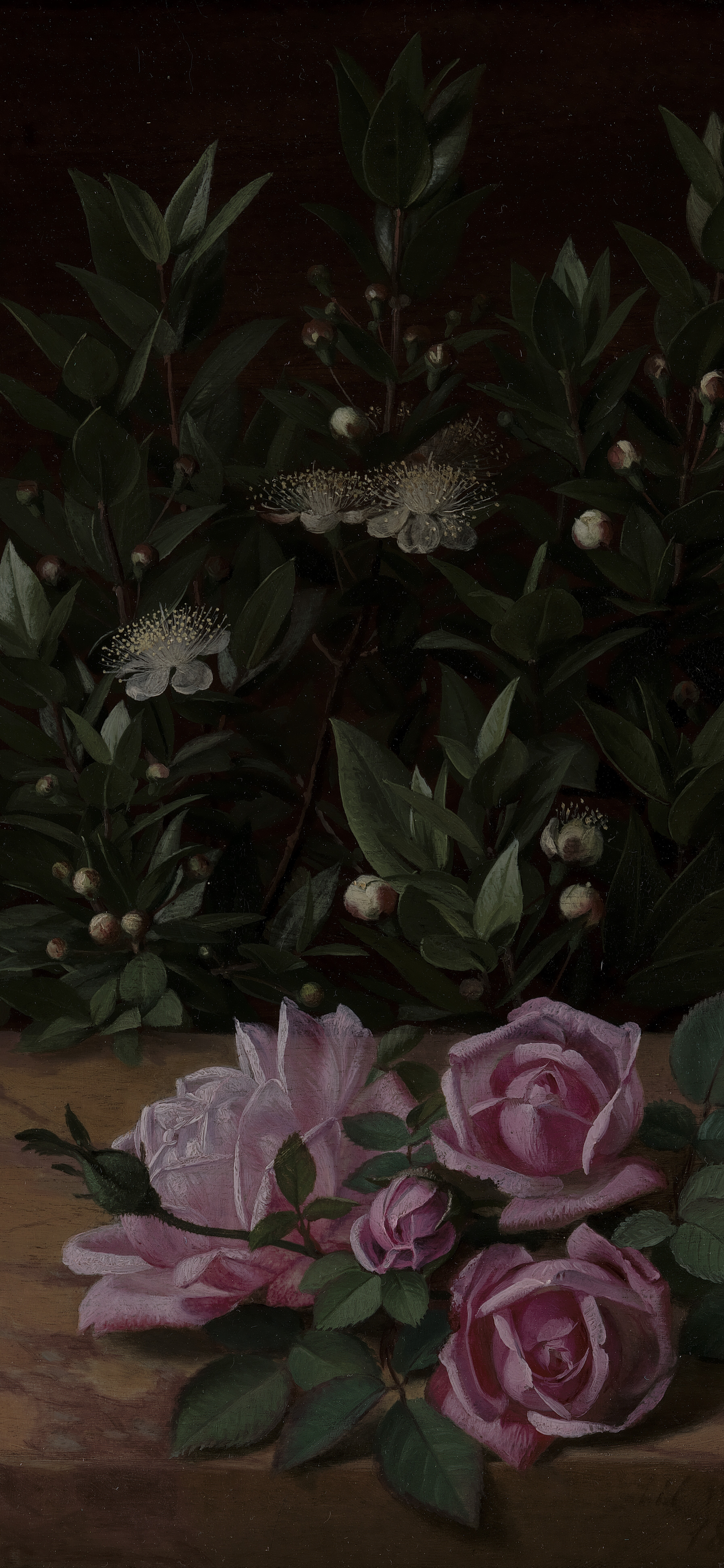 Roses and Myrtles, cropped to 9:19.5, tall phone background