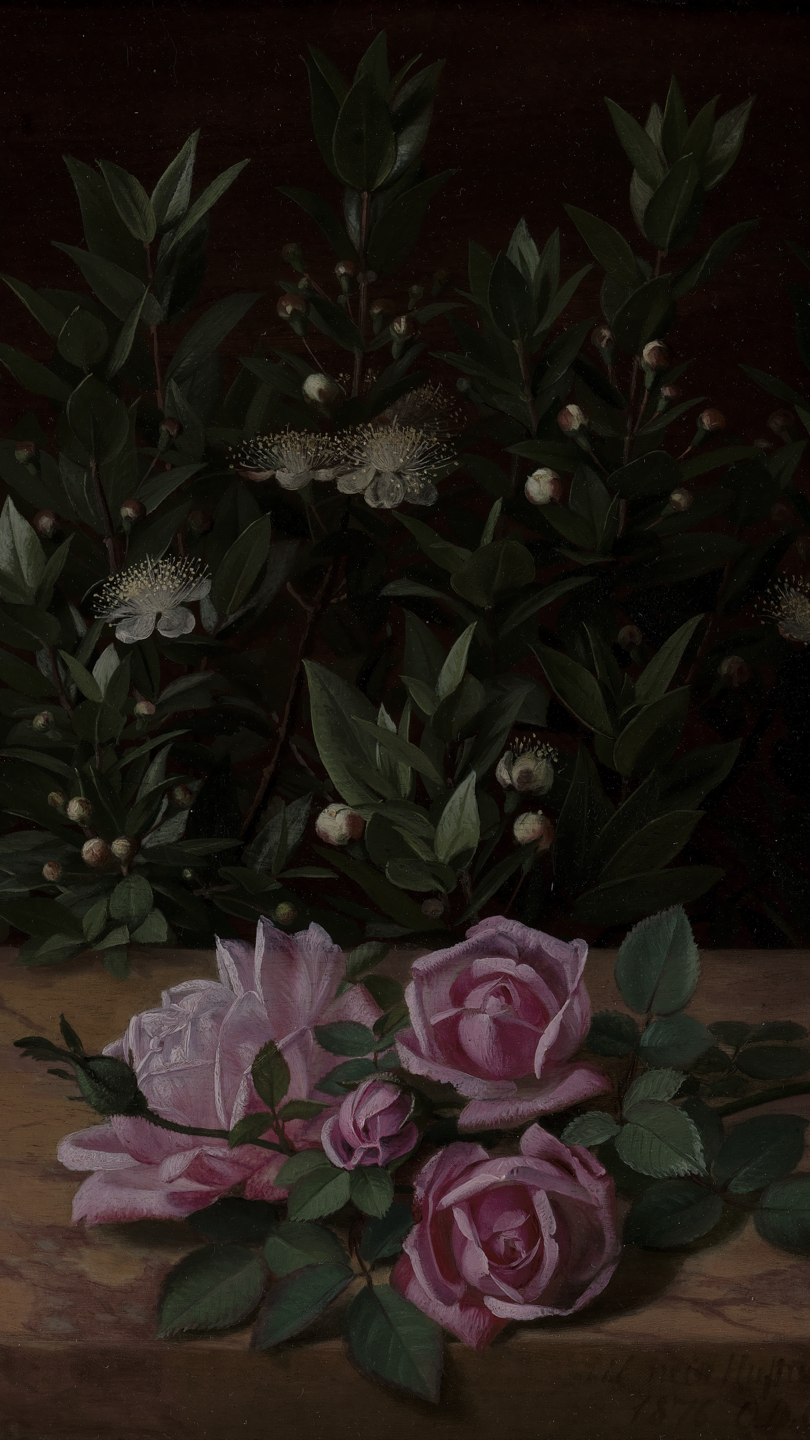 Dark academia vertical iPhone background from a painting: loose pink roses resting on a stone ledge in front of a dark myrtle bush with small white blossoms