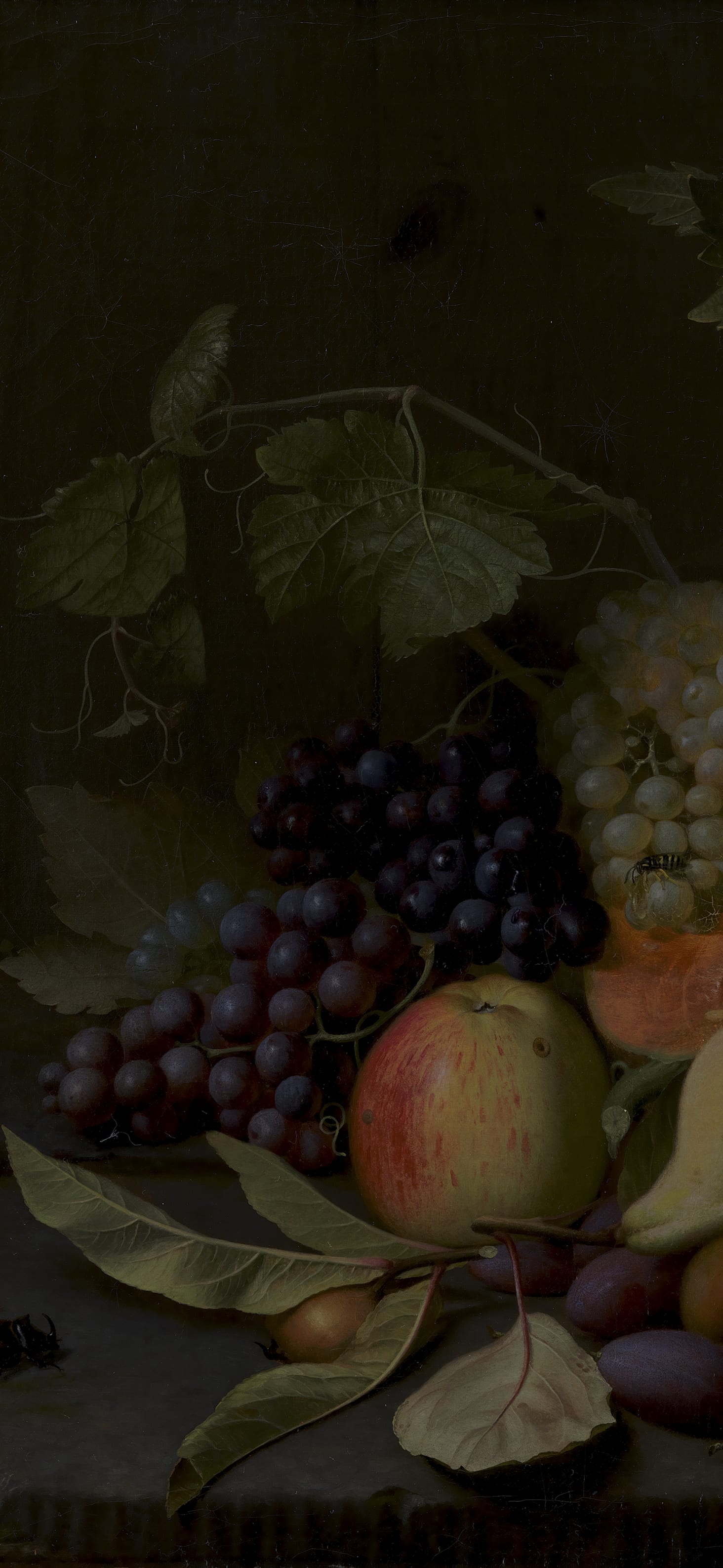 Still Life with Melons and Grapes, cropped to 9:19.5, tall phone background