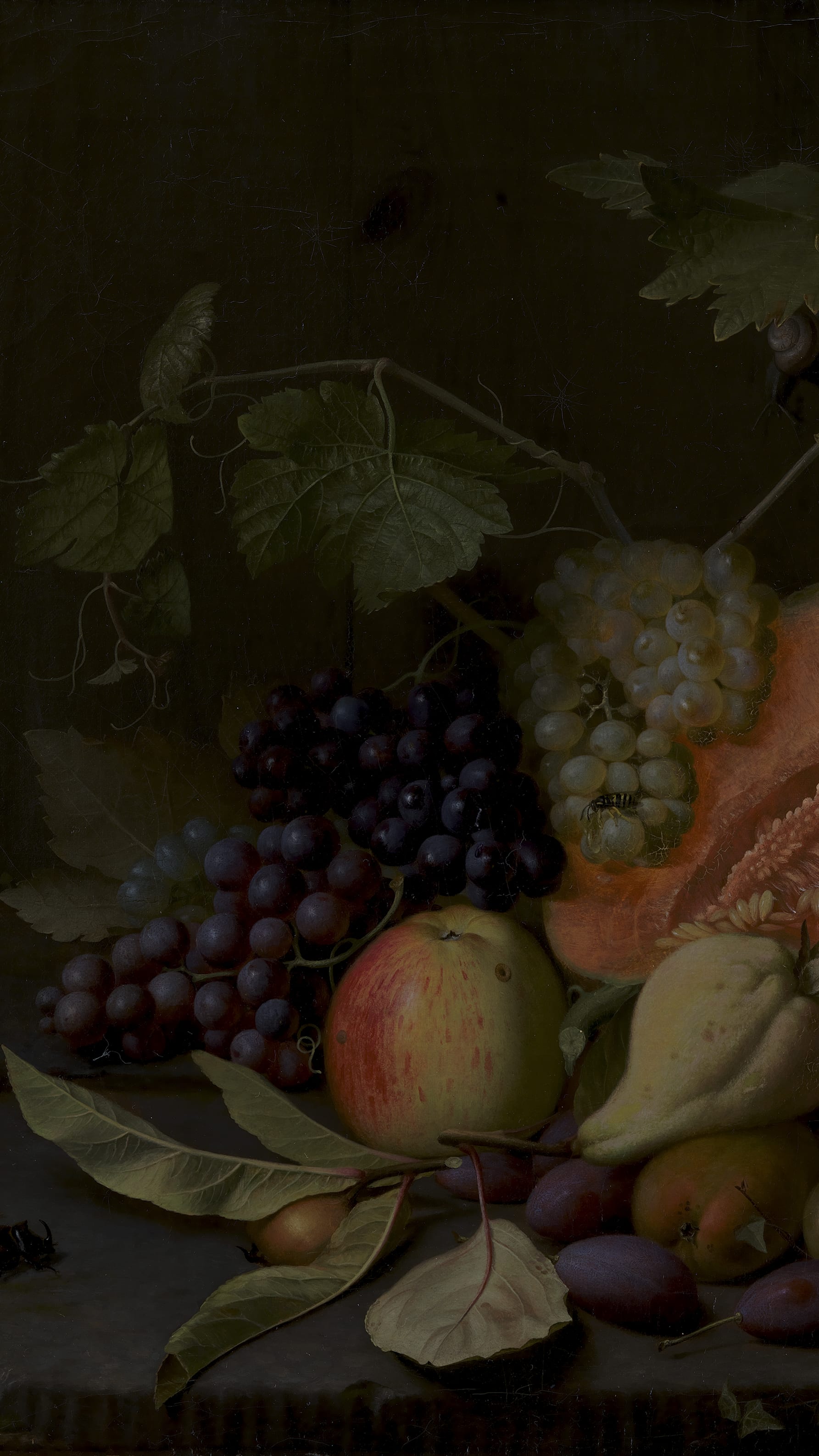 Dark academia desktop background from a painting: a halved cantaloupe beside dark and pale grape clusters, apples, plums and grape leaves on a wooden ledge, dark background
