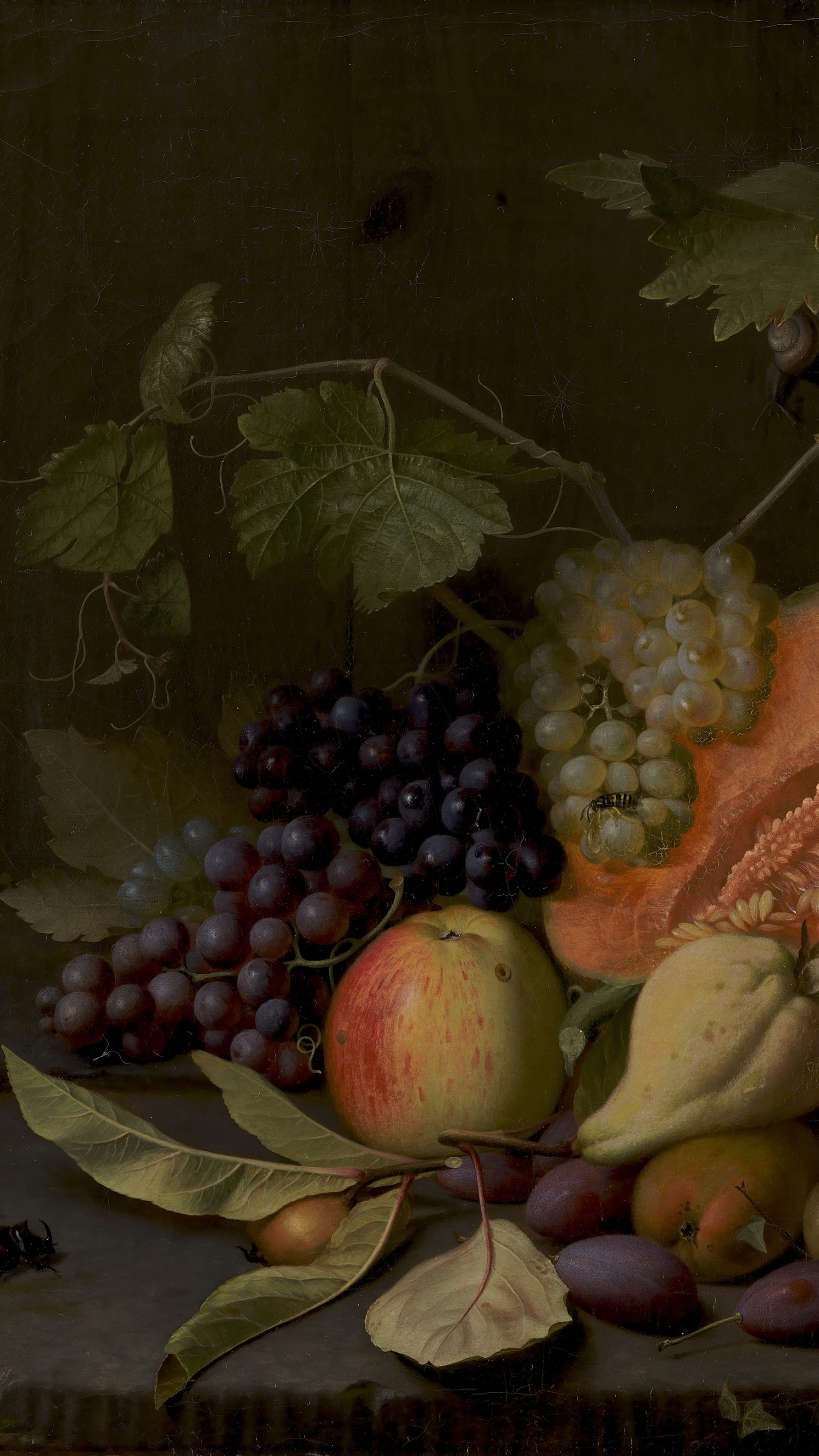Dark academia desktop background from a painting: a halved cantaloupe beside dark and pale grape clusters, apples, plums and grape leaves on a wooden ledge, dark background