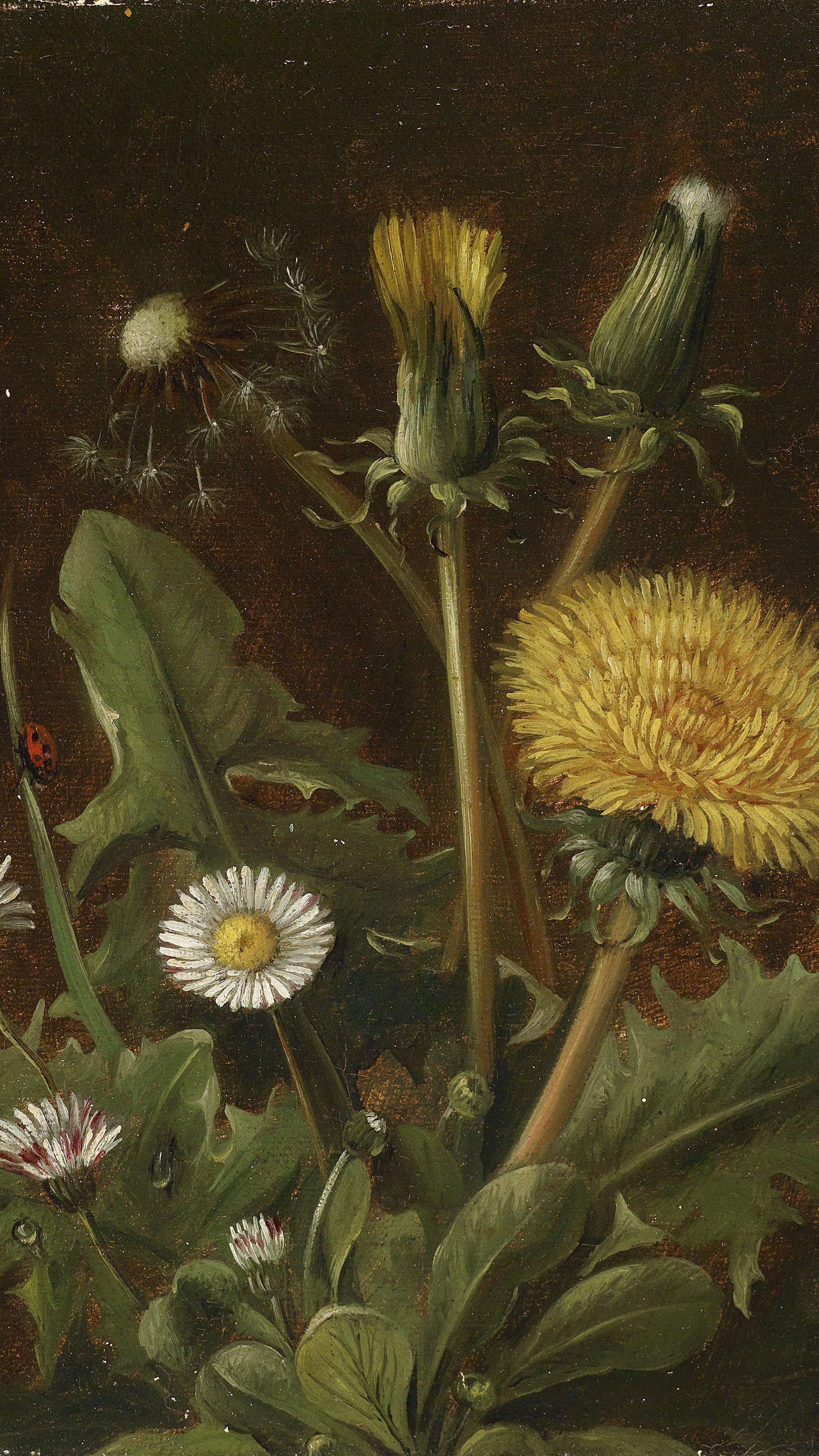Dark academia vertical iPhone background from a painting: a yellow dandelion in full bloom beside a white seed-head puff and a closed bud, small white daisies below, a ladybug on a leaf, dark brown background