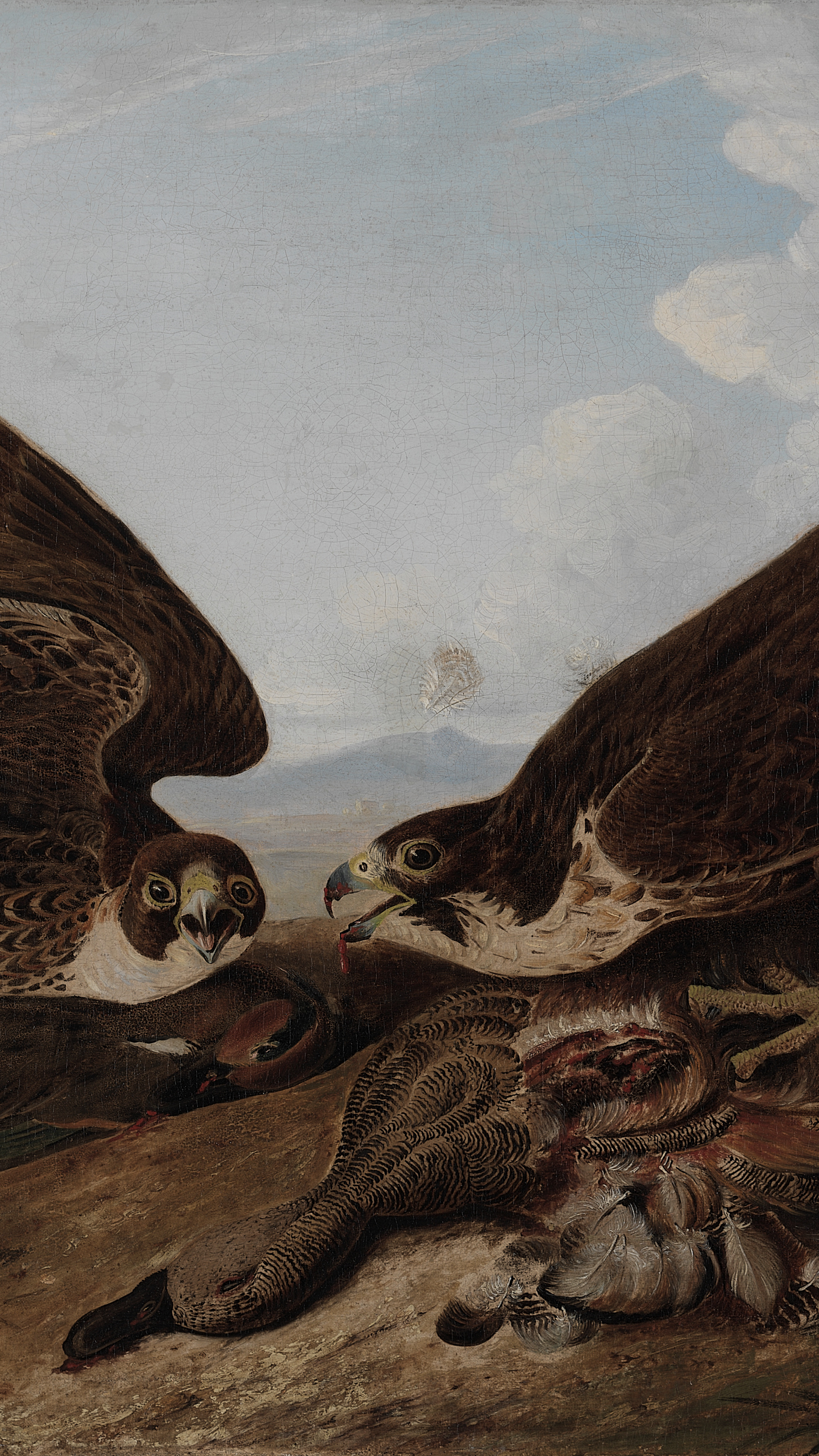 Vertical iPhone background from a painting: two brown falcons with wings fully spread confronting each other over a prey bird on rocky ground, detailed plumage, pale blue sky behind