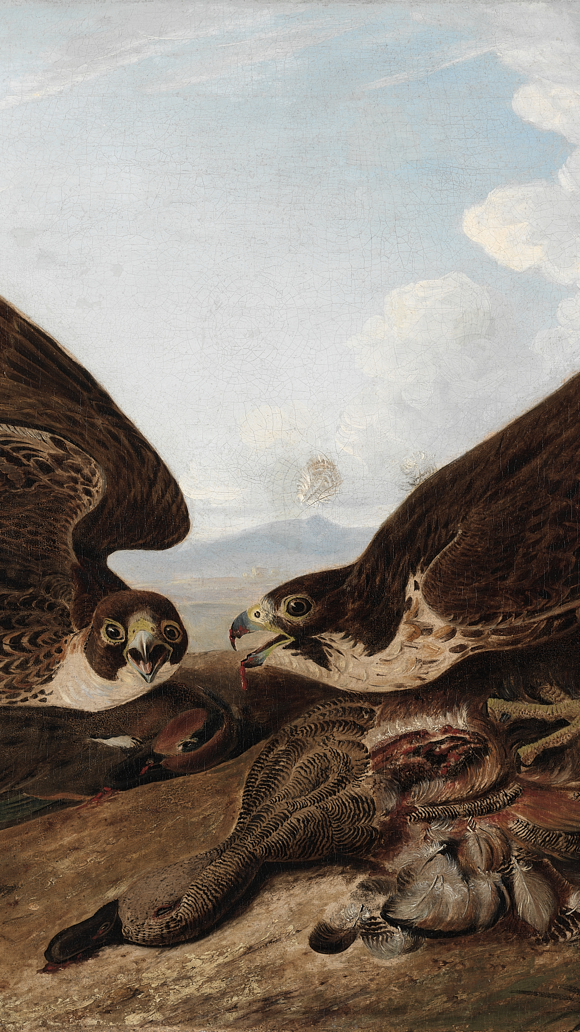 Vertical iPhone background from a painting: two brown falcons with wings fully spread confronting each other over a prey bird on rocky ground, detailed plumage, pale blue sky behind