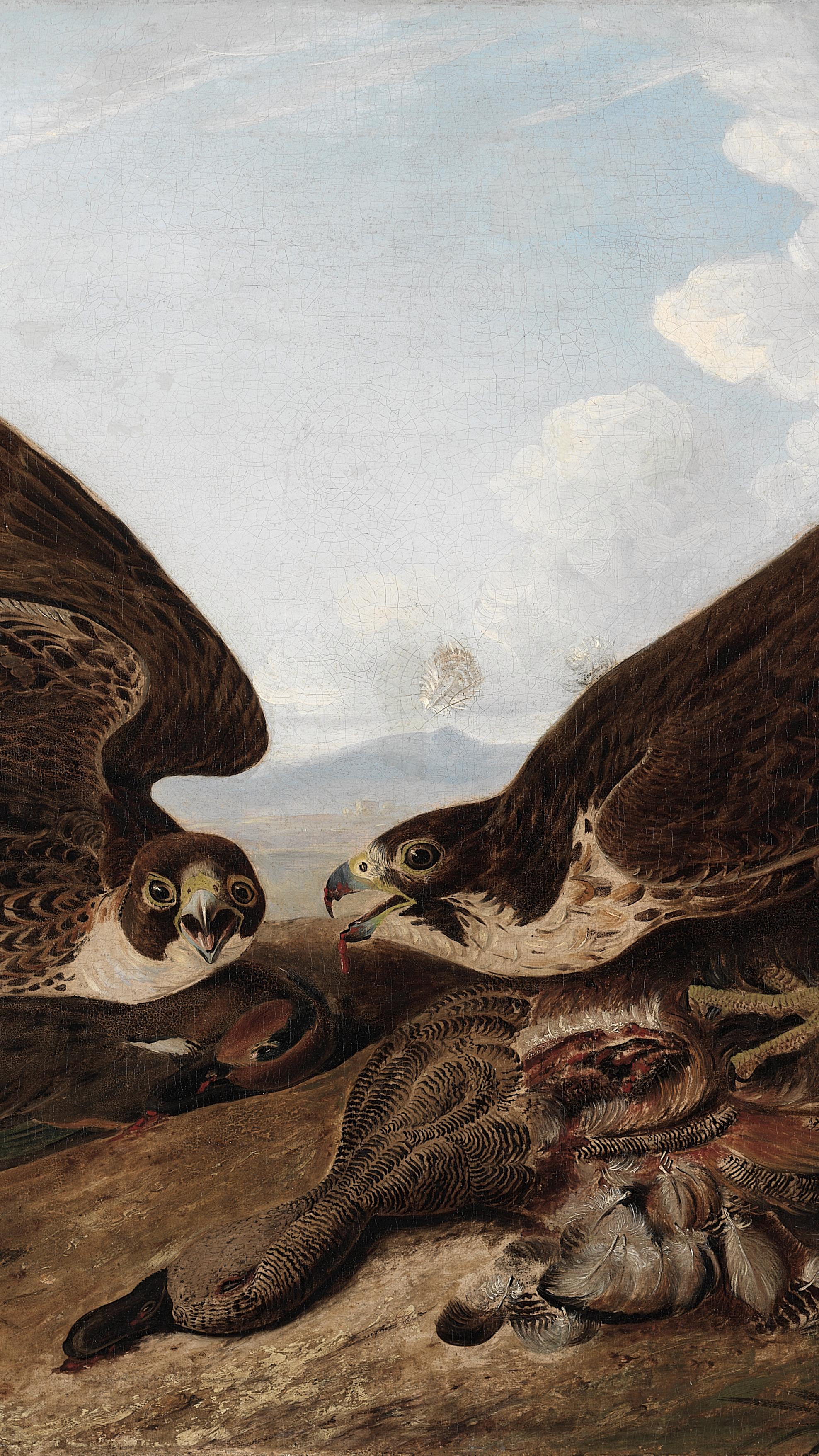 Vertical iPhone background from a painting: two brown falcons with wings fully spread confronting each other over a prey bird on rocky ground, detailed plumage, pale blue sky behind