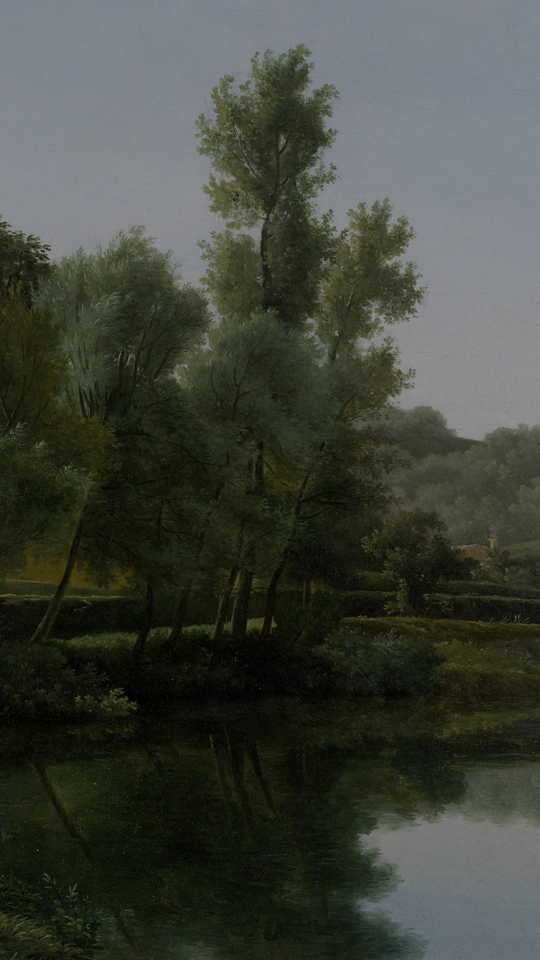 River Landscape, cropped to 9:16, vertical phone background