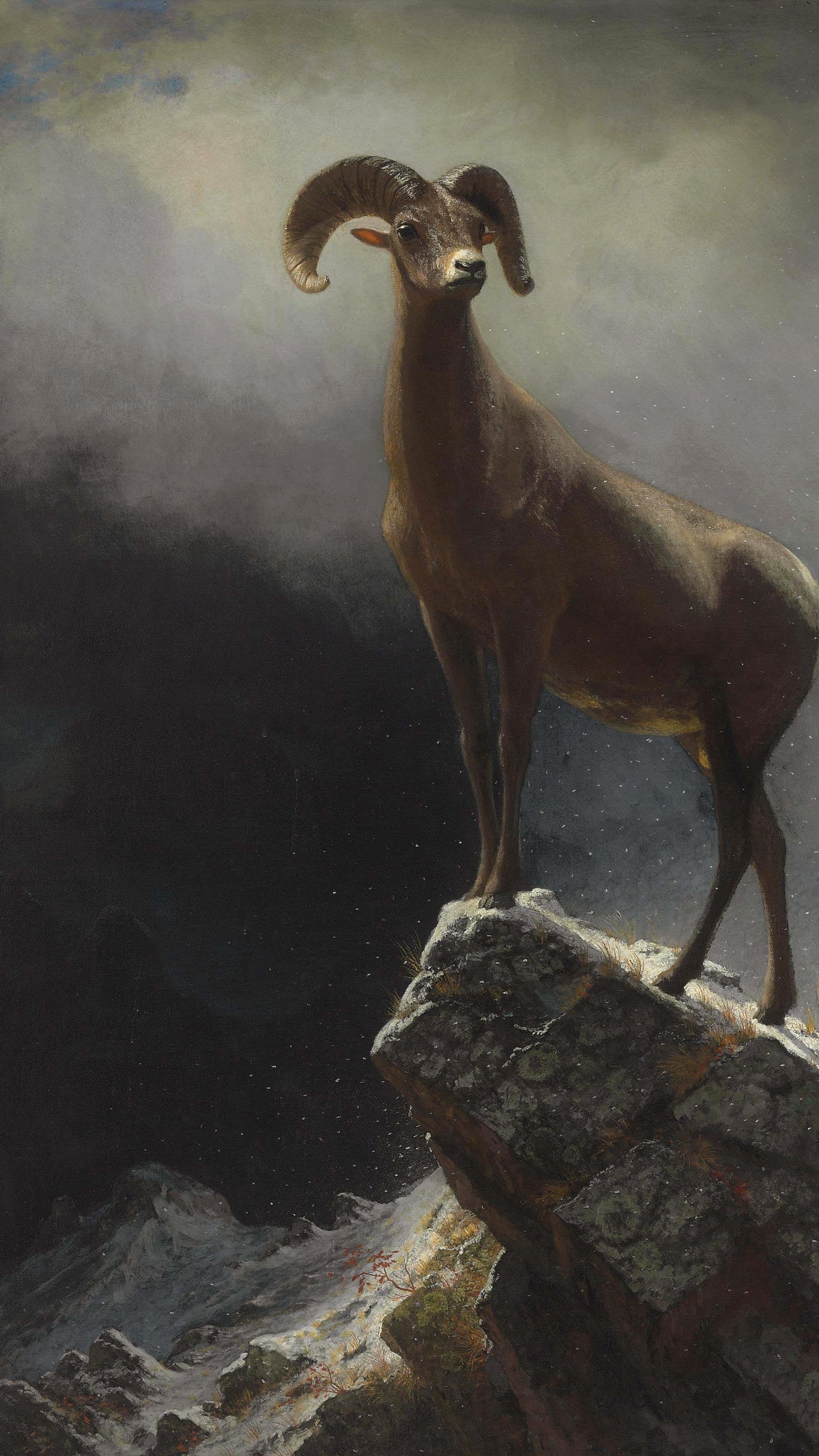 Dark moody vertical iPhone background from a painting: bighorn ram standing on a rock ledge against storm cloud with other sheep below