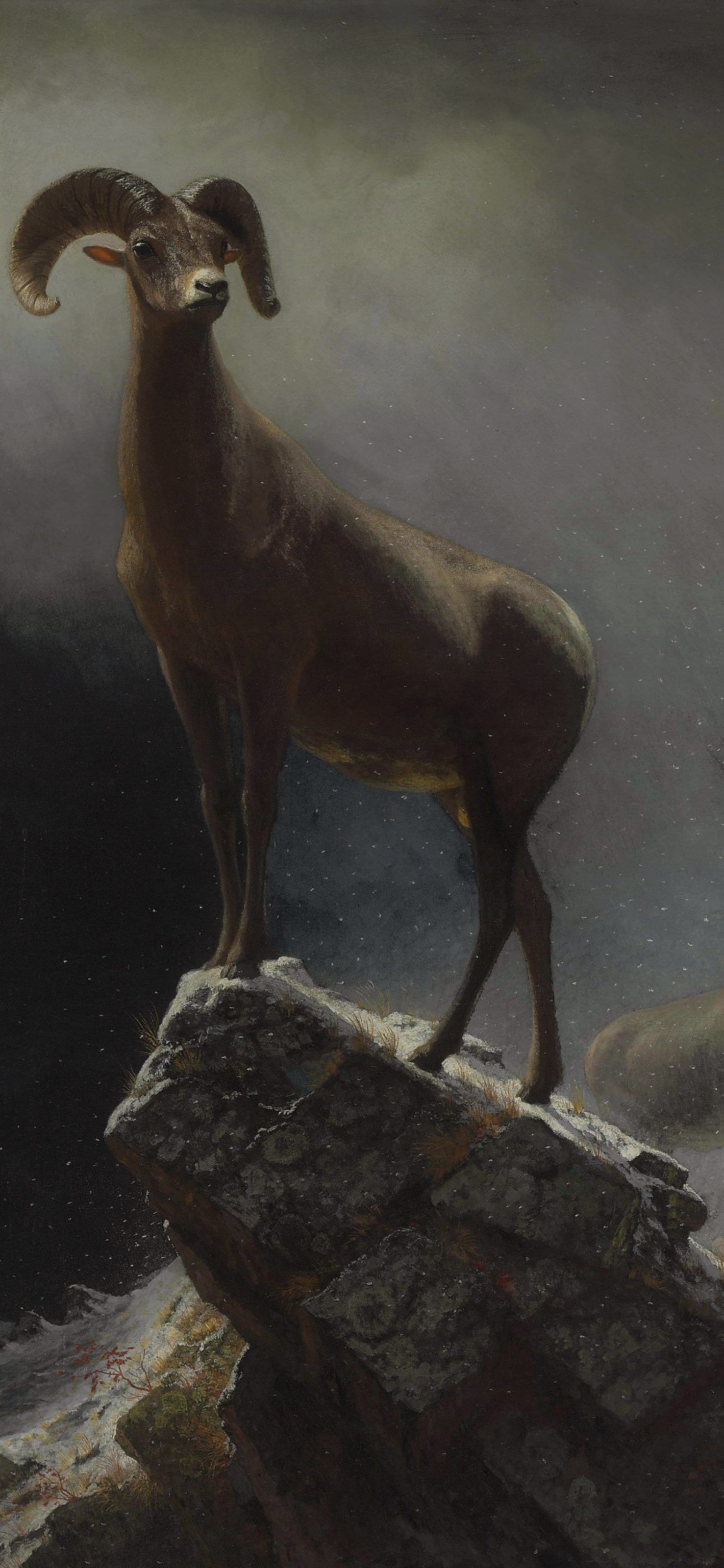 Dark moody vertical iPhone background from a painting: bighorn ram standing on a rock ledge against storm cloud with other sheep below