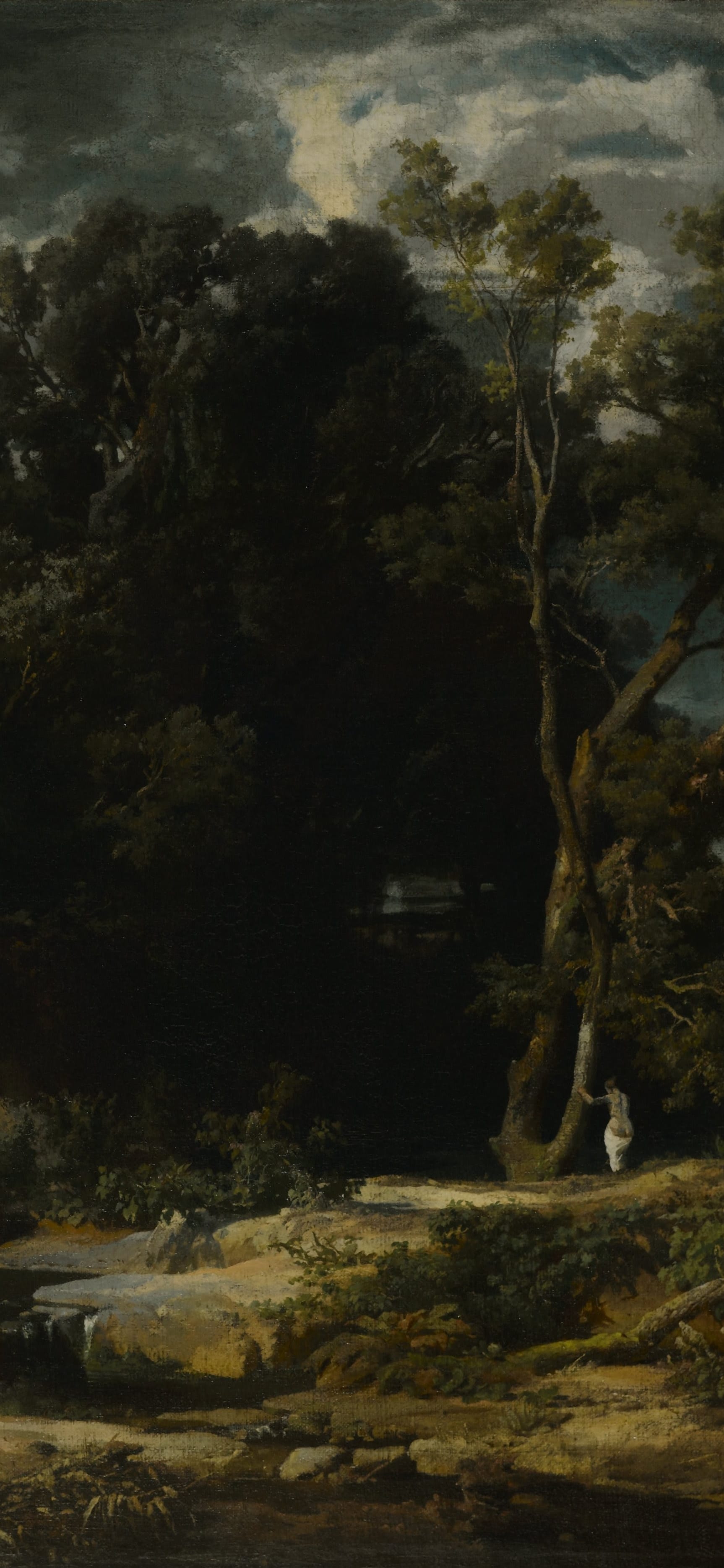 Roman Landscape, cropped to 9:19.5, tall phone background