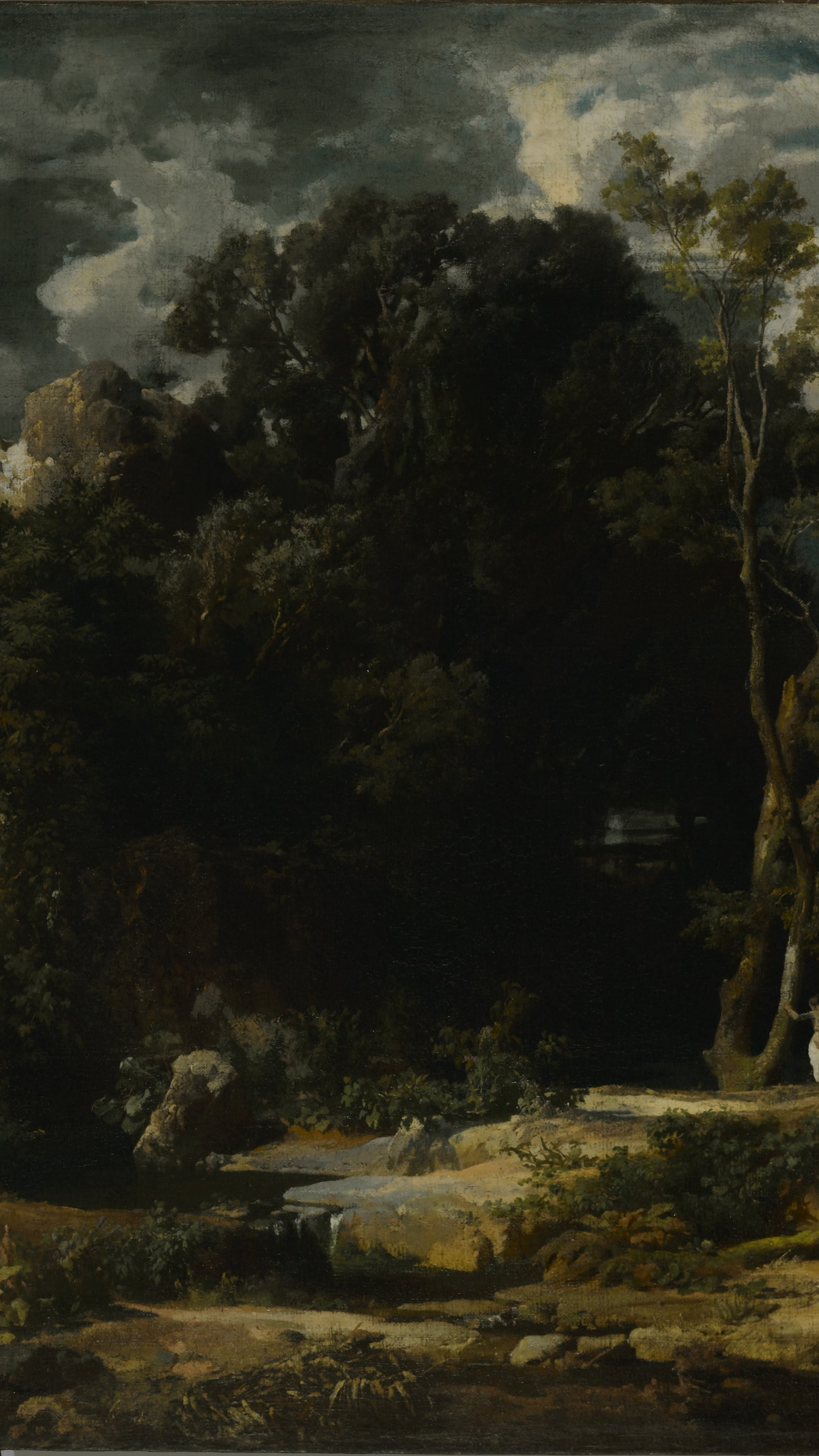 Roman Landscape, cropped to 9:16, vertical phone background
