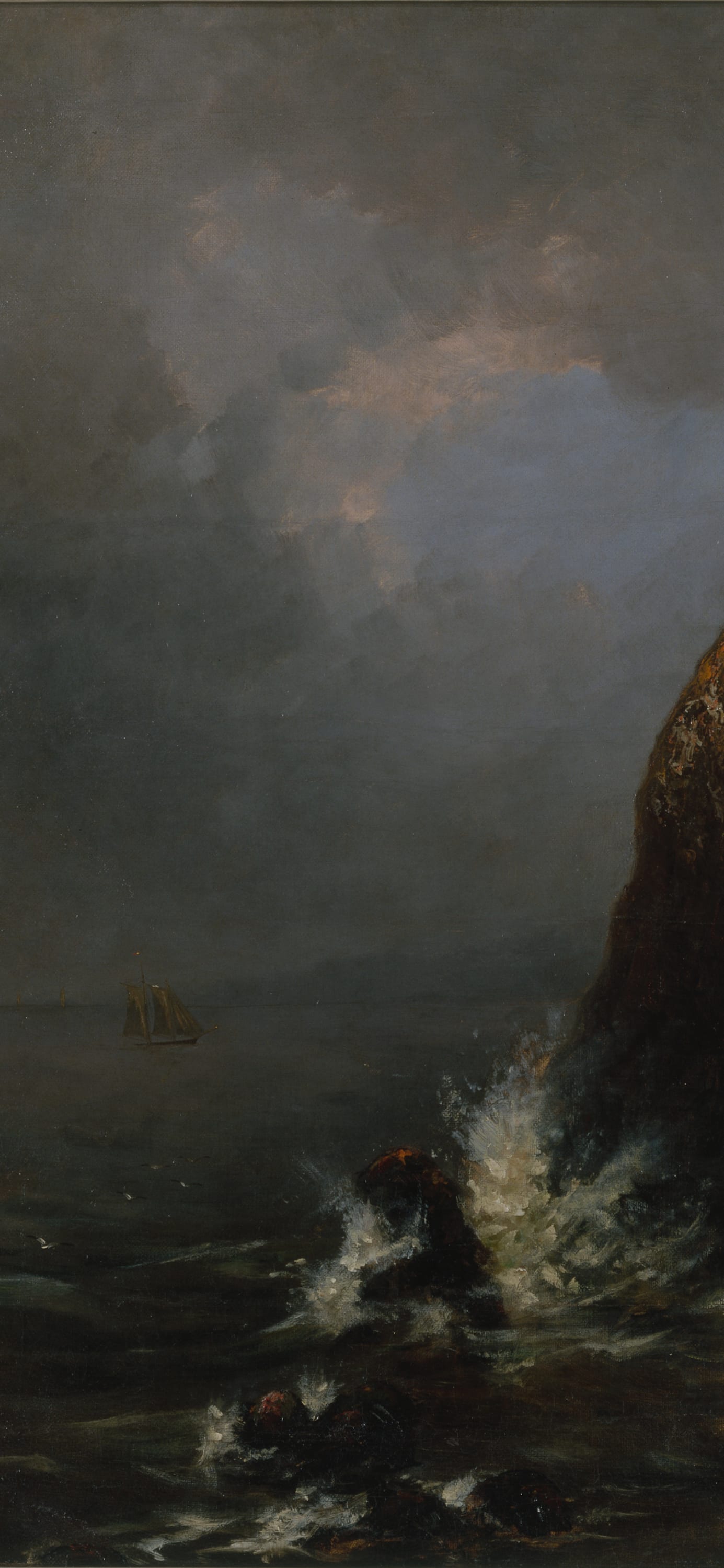 Seascape, cropped to 9:19.5, tall phone background