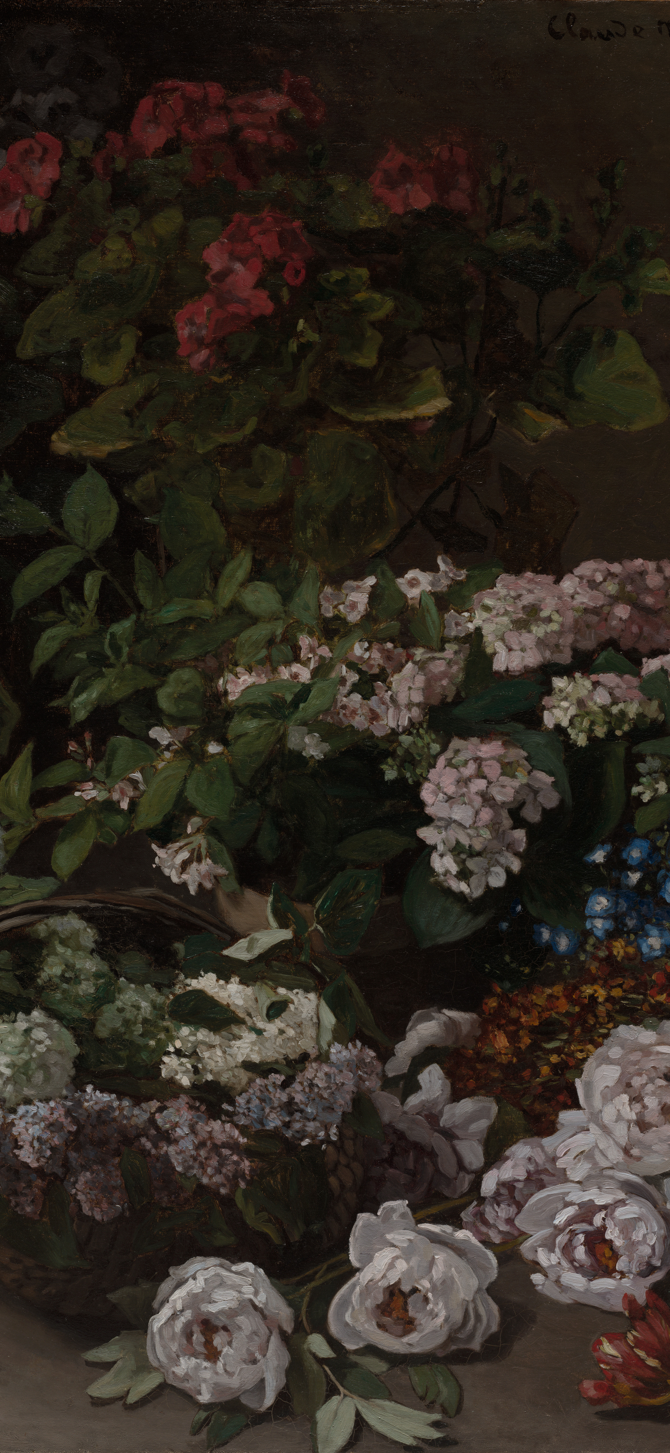 Dark academia vertical iPhone background from a painting: lush bouquet of red geraniums, pink phlox, blue forget-me-nots, and white peonies on a deep brown ground, loose impressionist brushwork