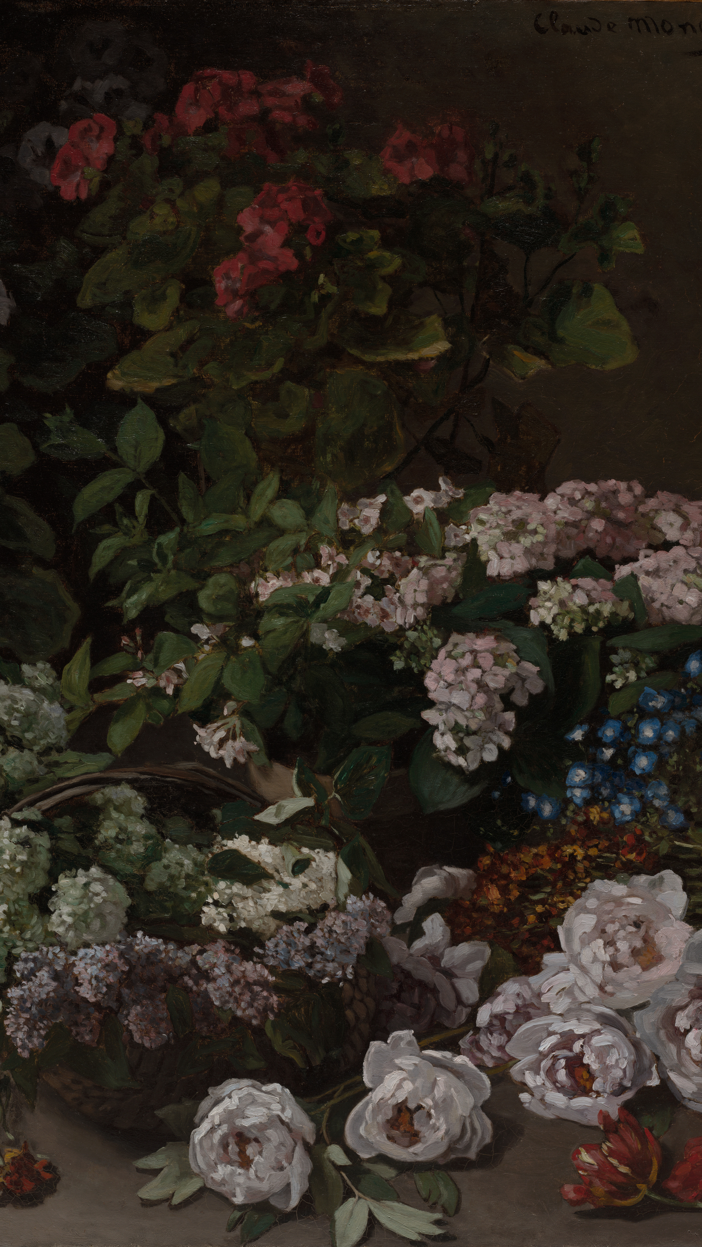 Spring Flowers, cropped to 9:16, vertical phone background